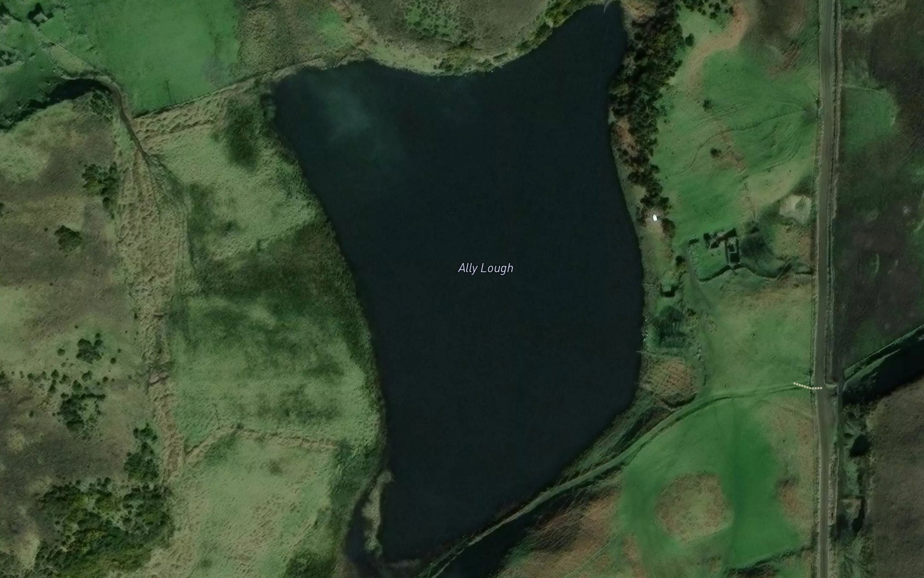 Satellite map of the Ally Lough