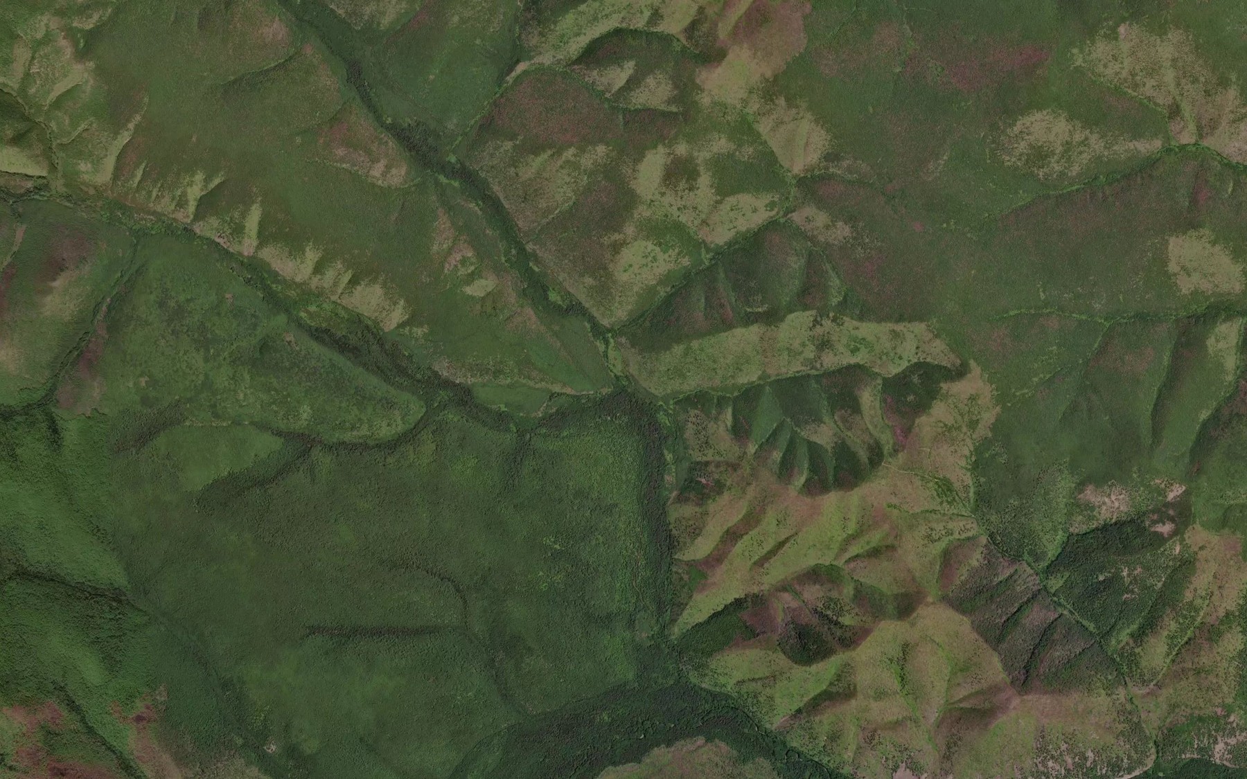 Satellite map of the Srednyaya Duni