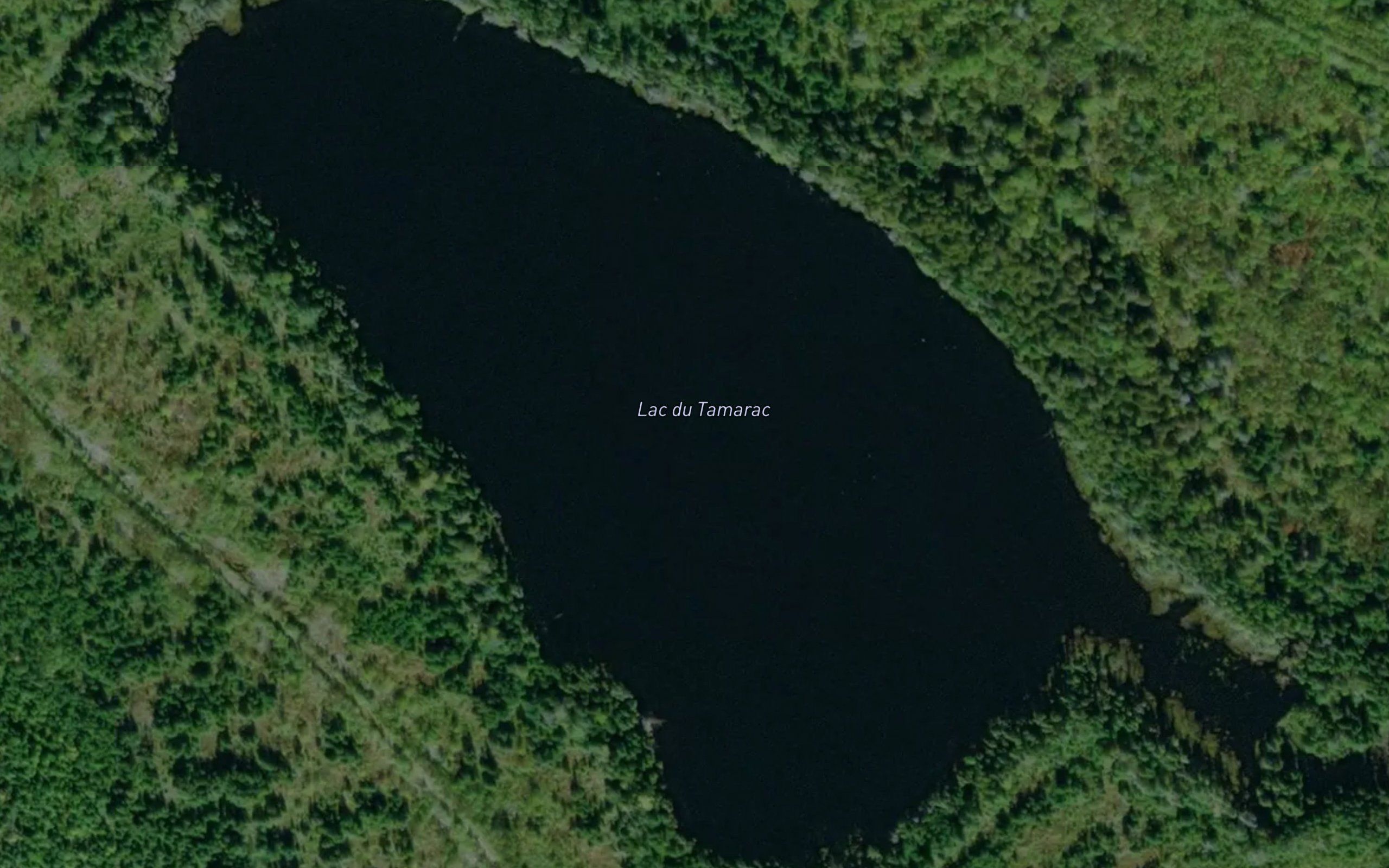 Lac du Tamarac