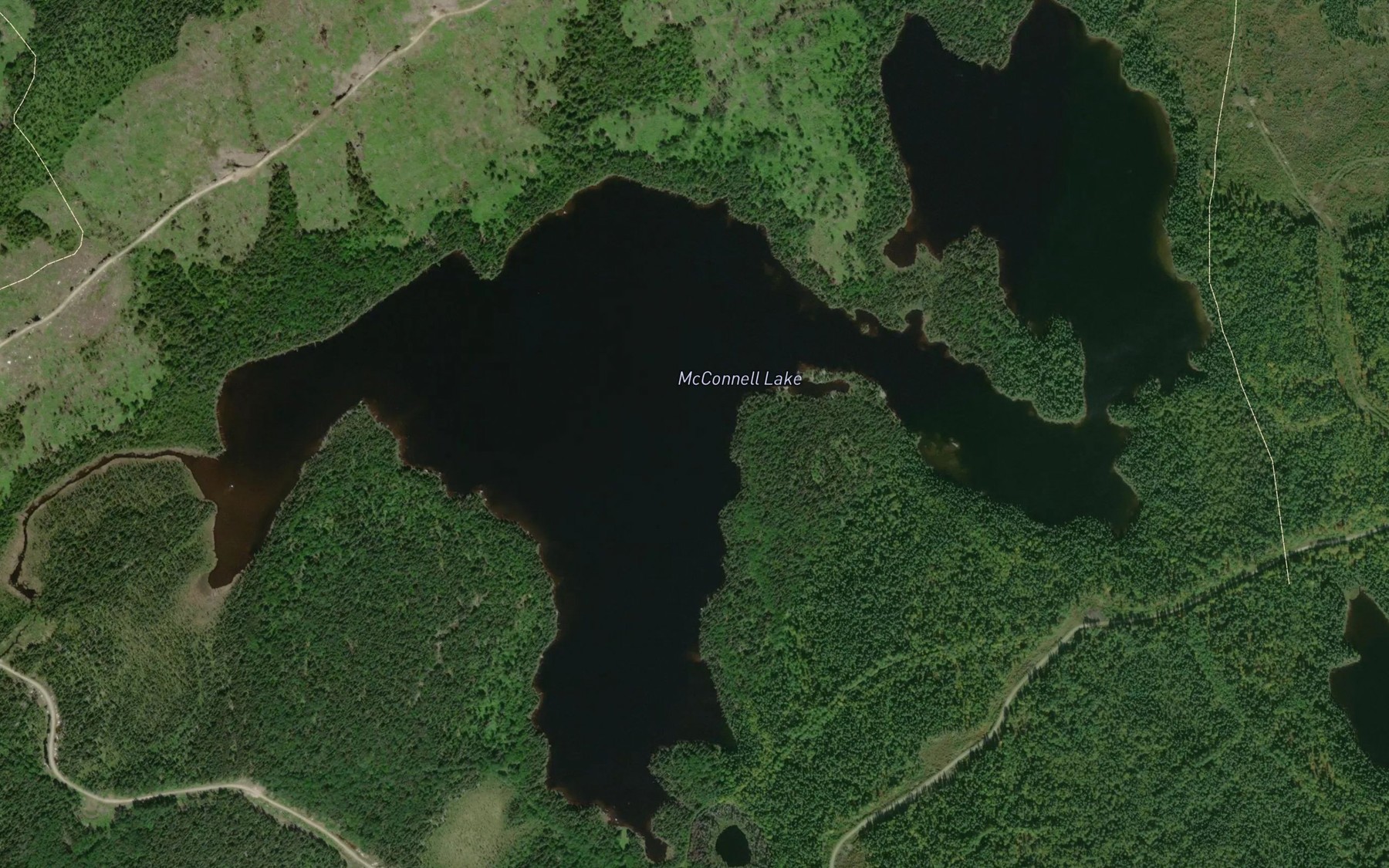 Satellite map of the McConnell Lake