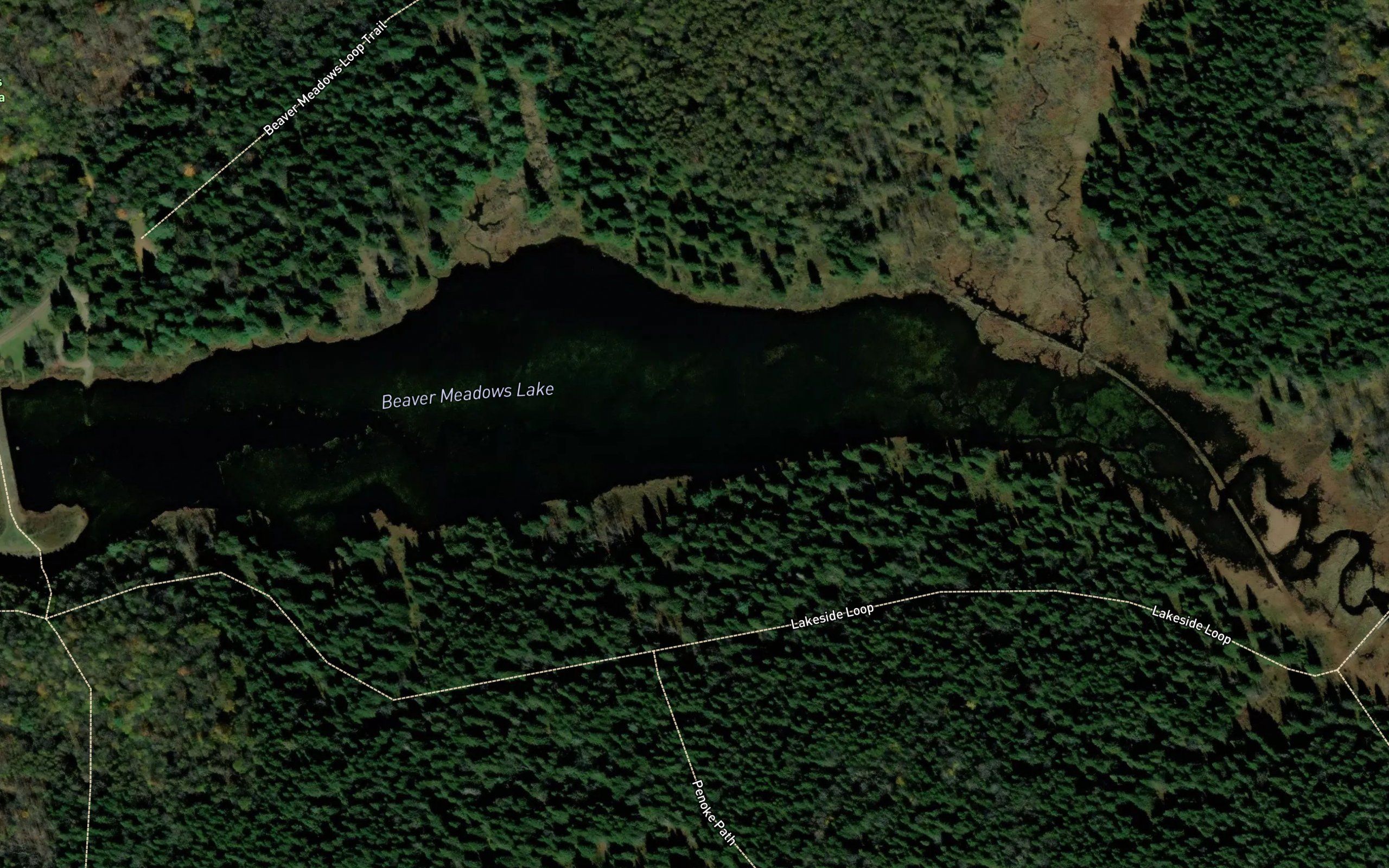 Beaver Meadows Lake