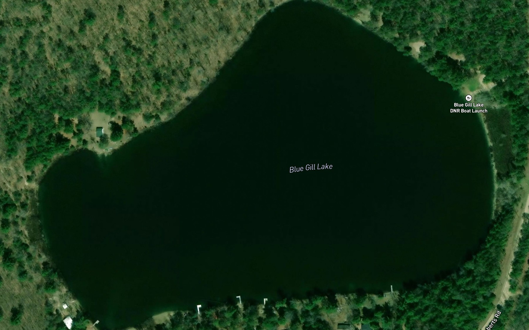 Satellite map of the Blue Gill Lake
