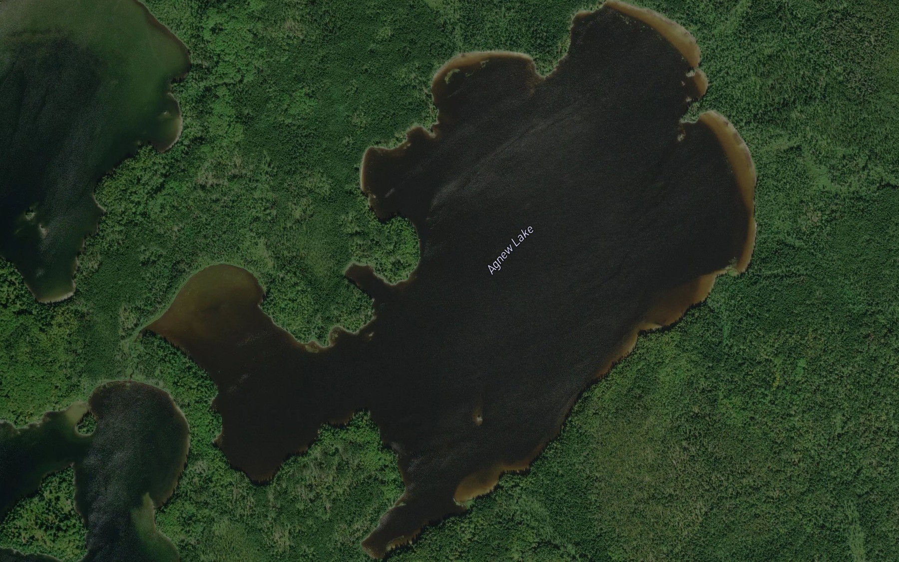 Satellite map of the Agnew Lake