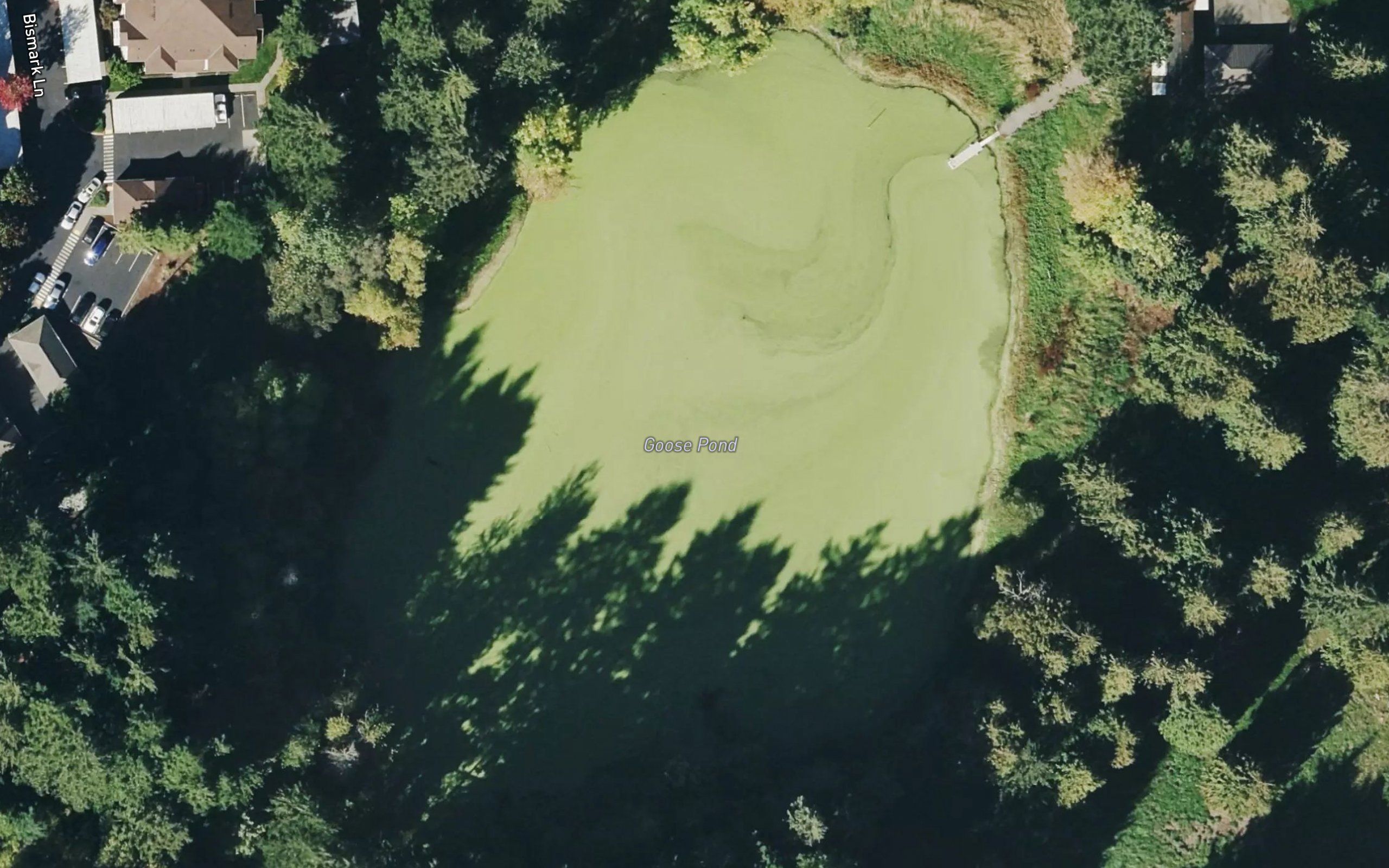 Goose Pond