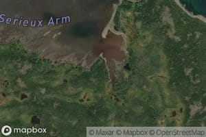 Serieux Arm