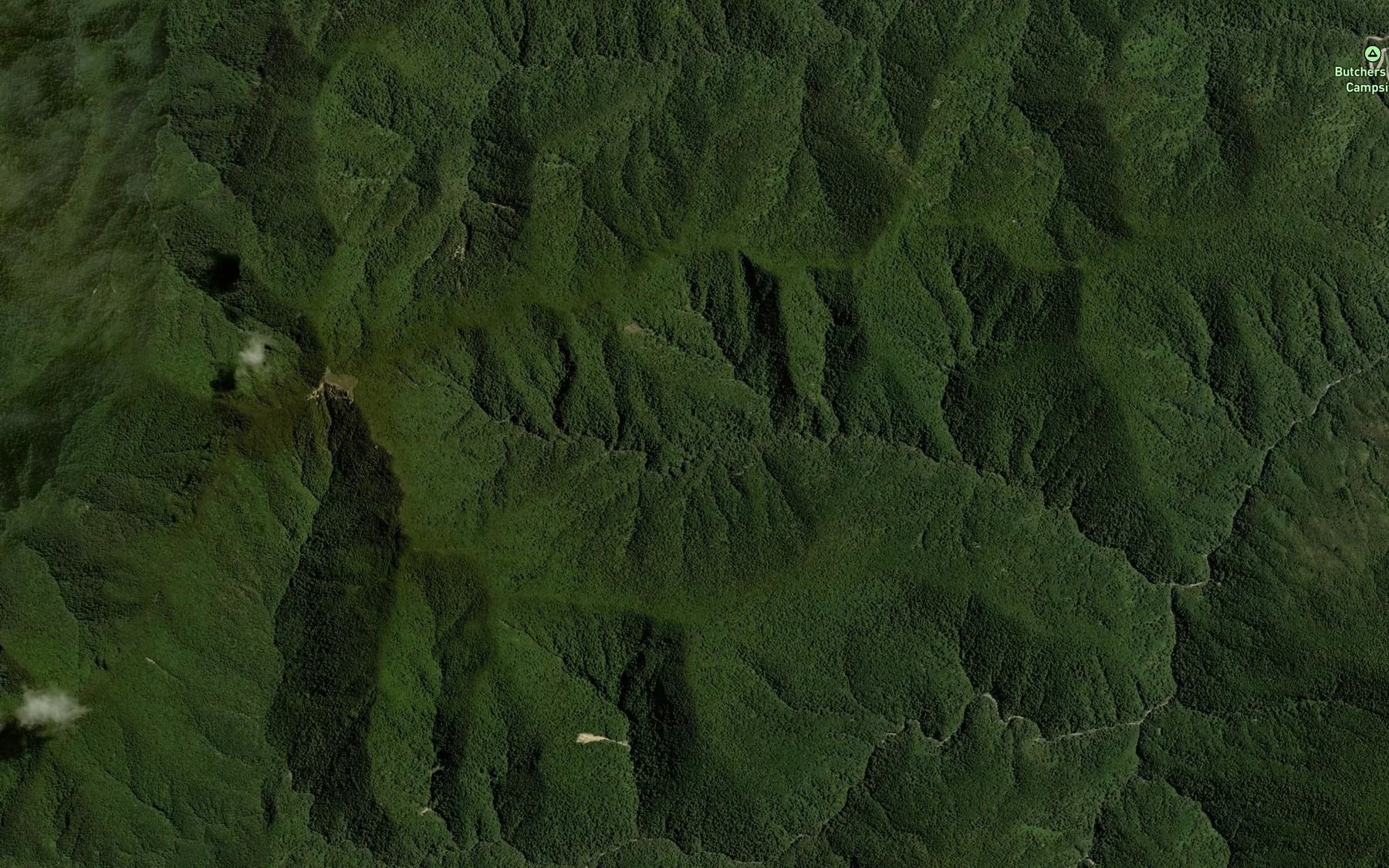 Satellite map of the Banks Creek