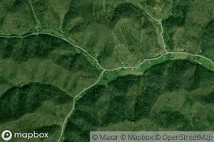 Puckett Fork