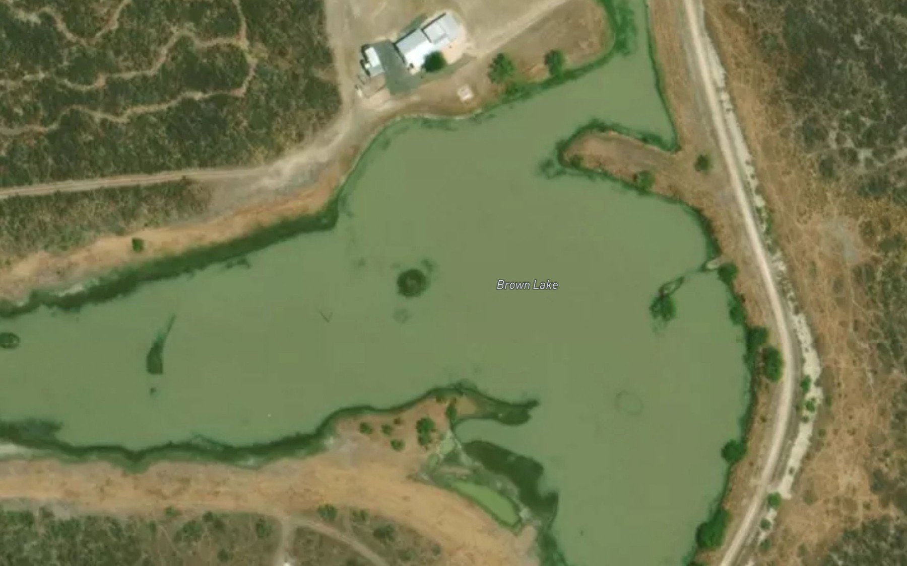 Satellite map of the Brown Lake