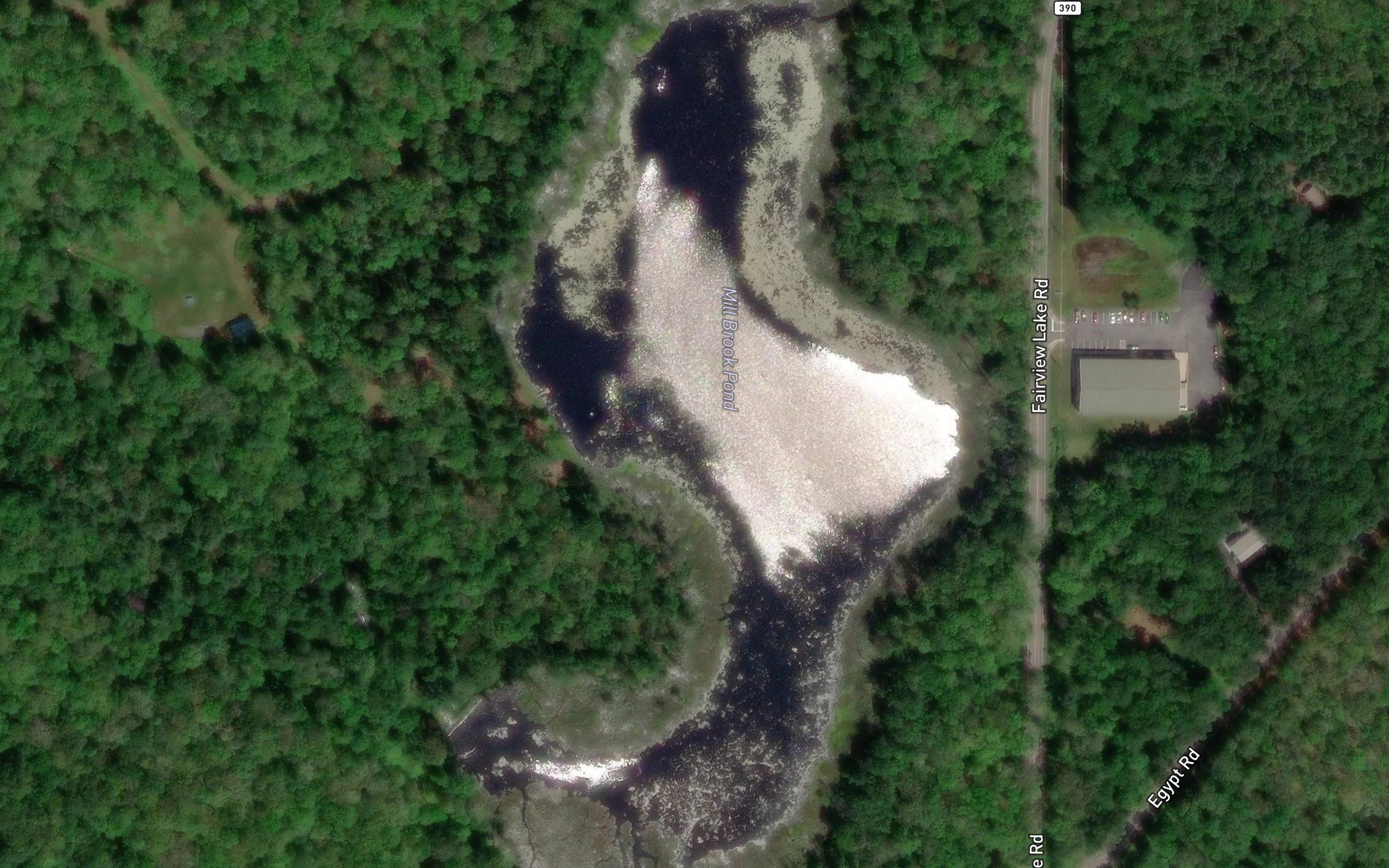 Mill Brook Pond