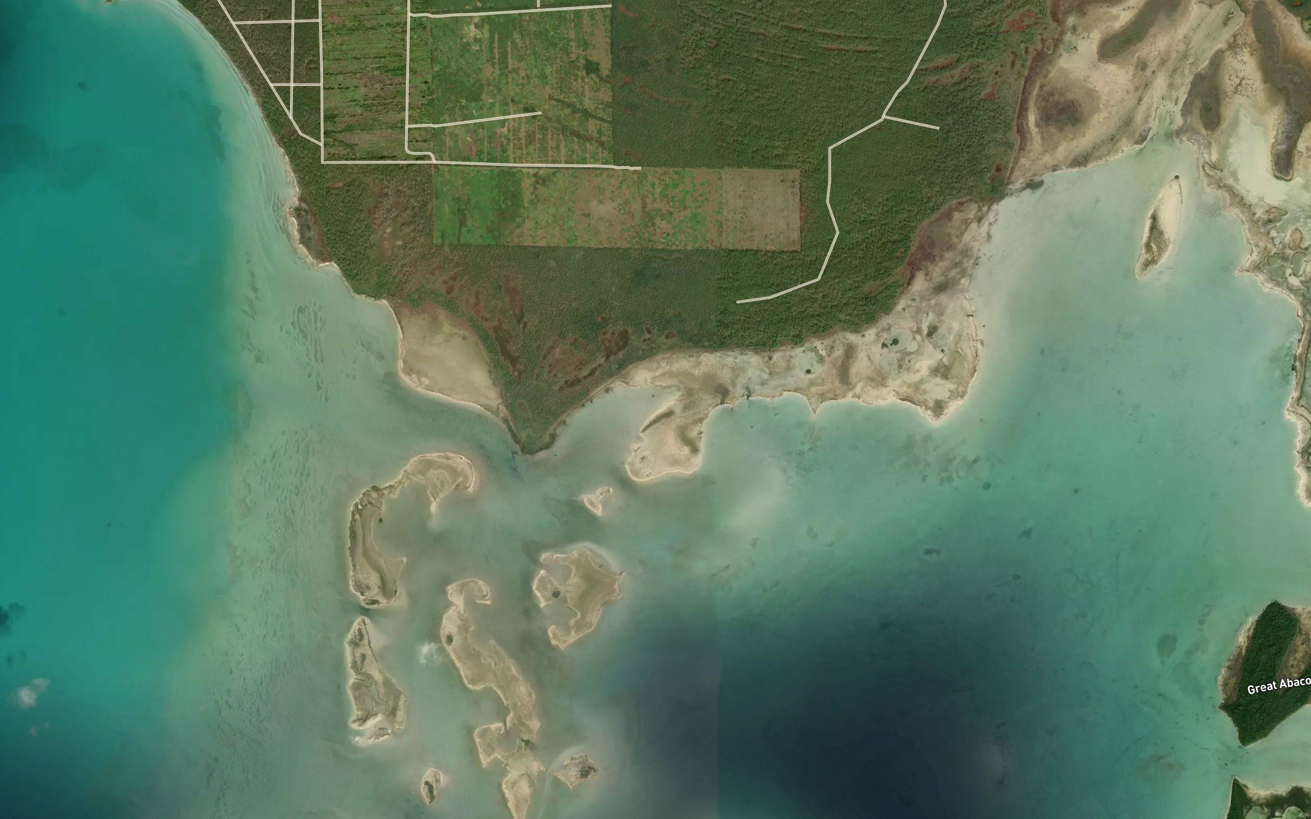 Mangrove Creek
