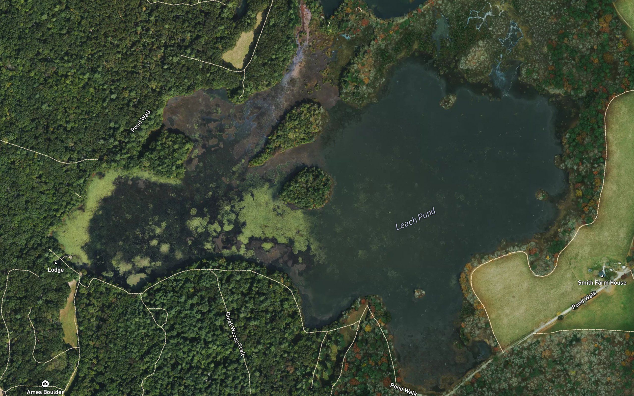 Leach Pond