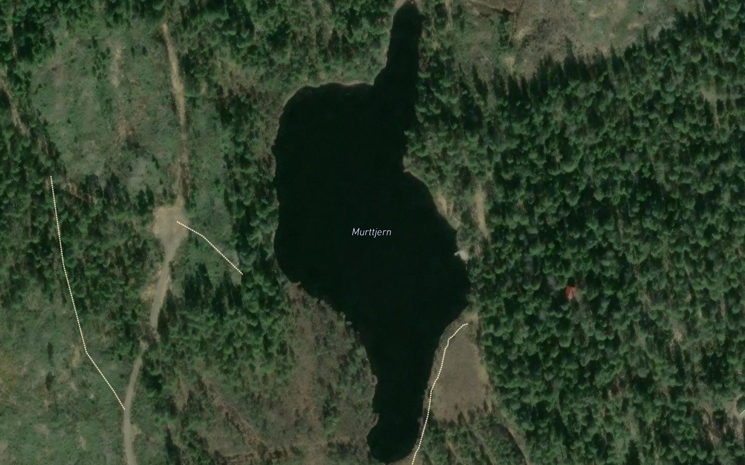 Murttjern
