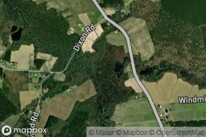 Cindy Edwards Branch