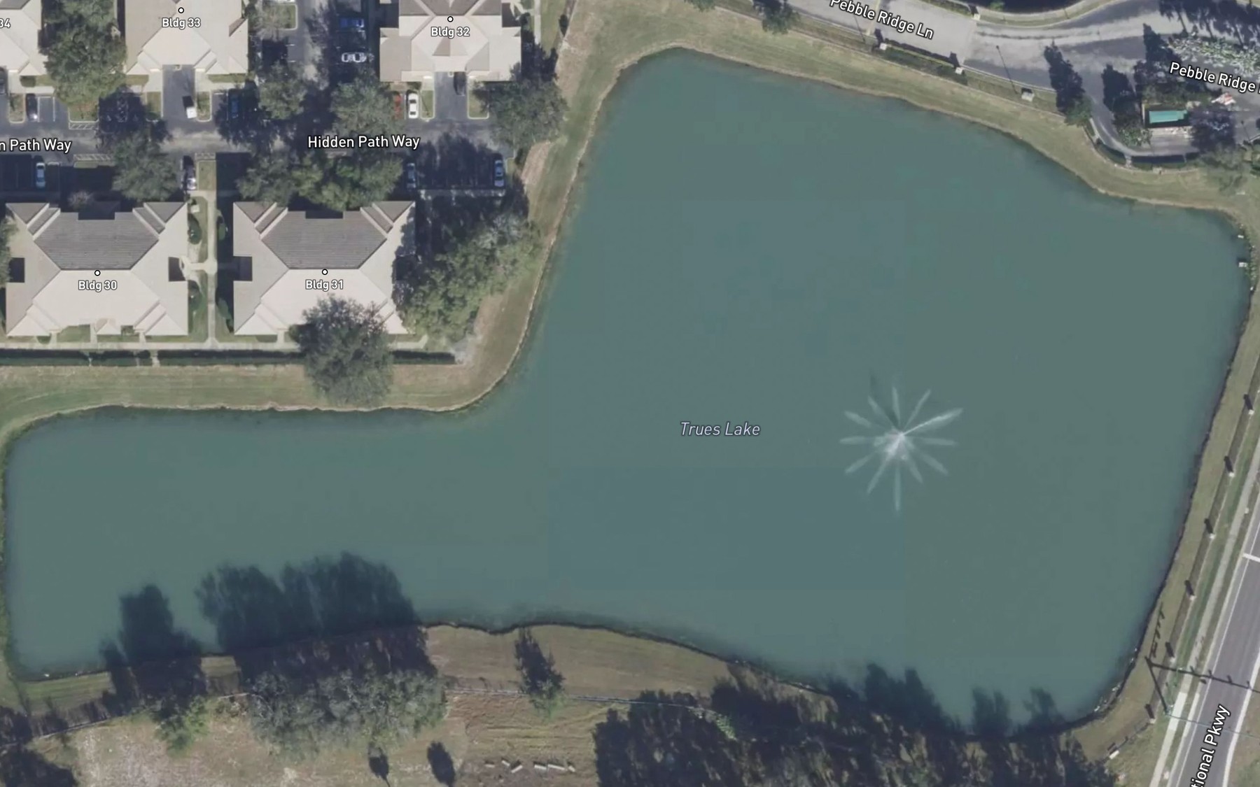 Satellite map of the Trues Lake
