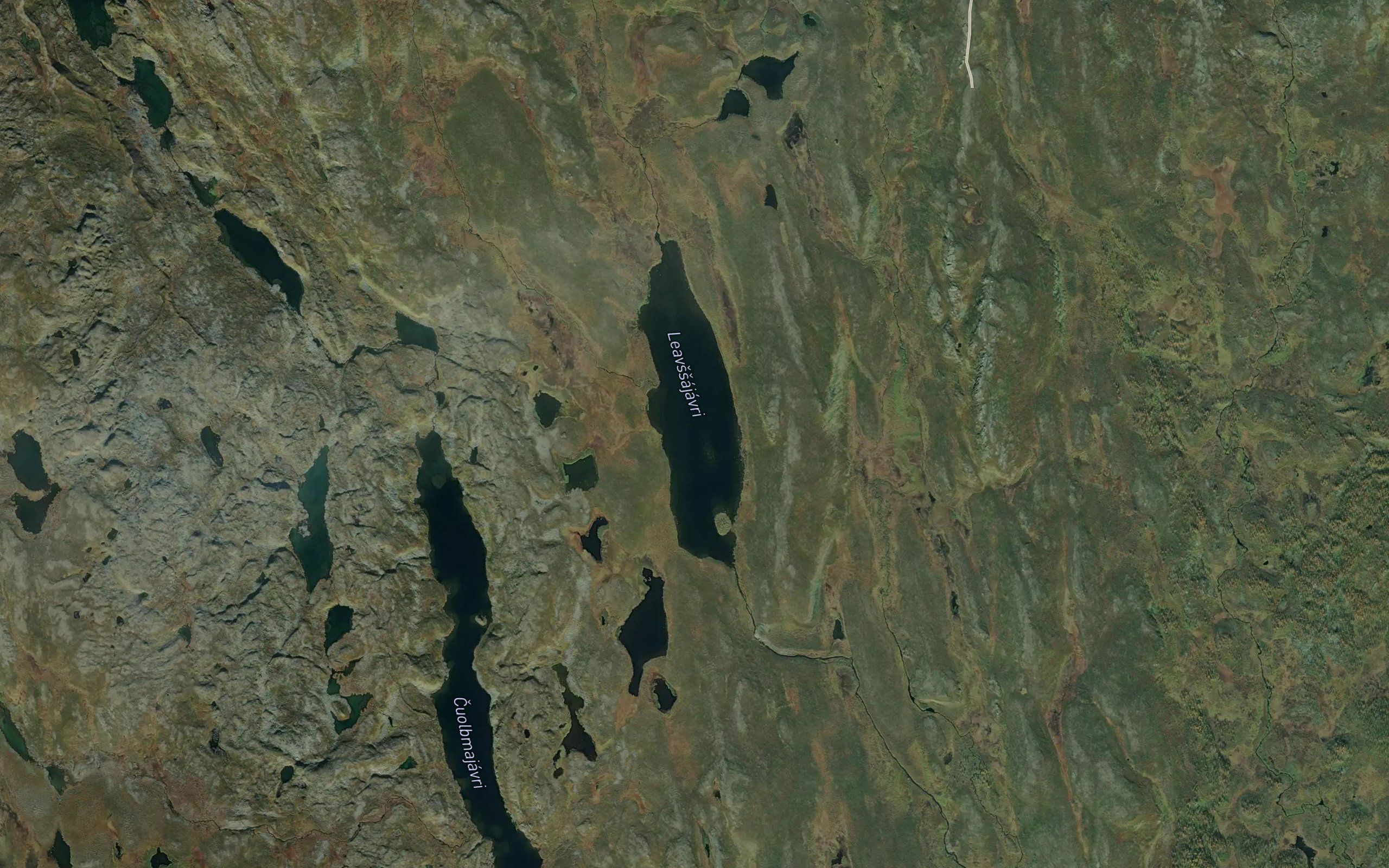 Leavssajavri