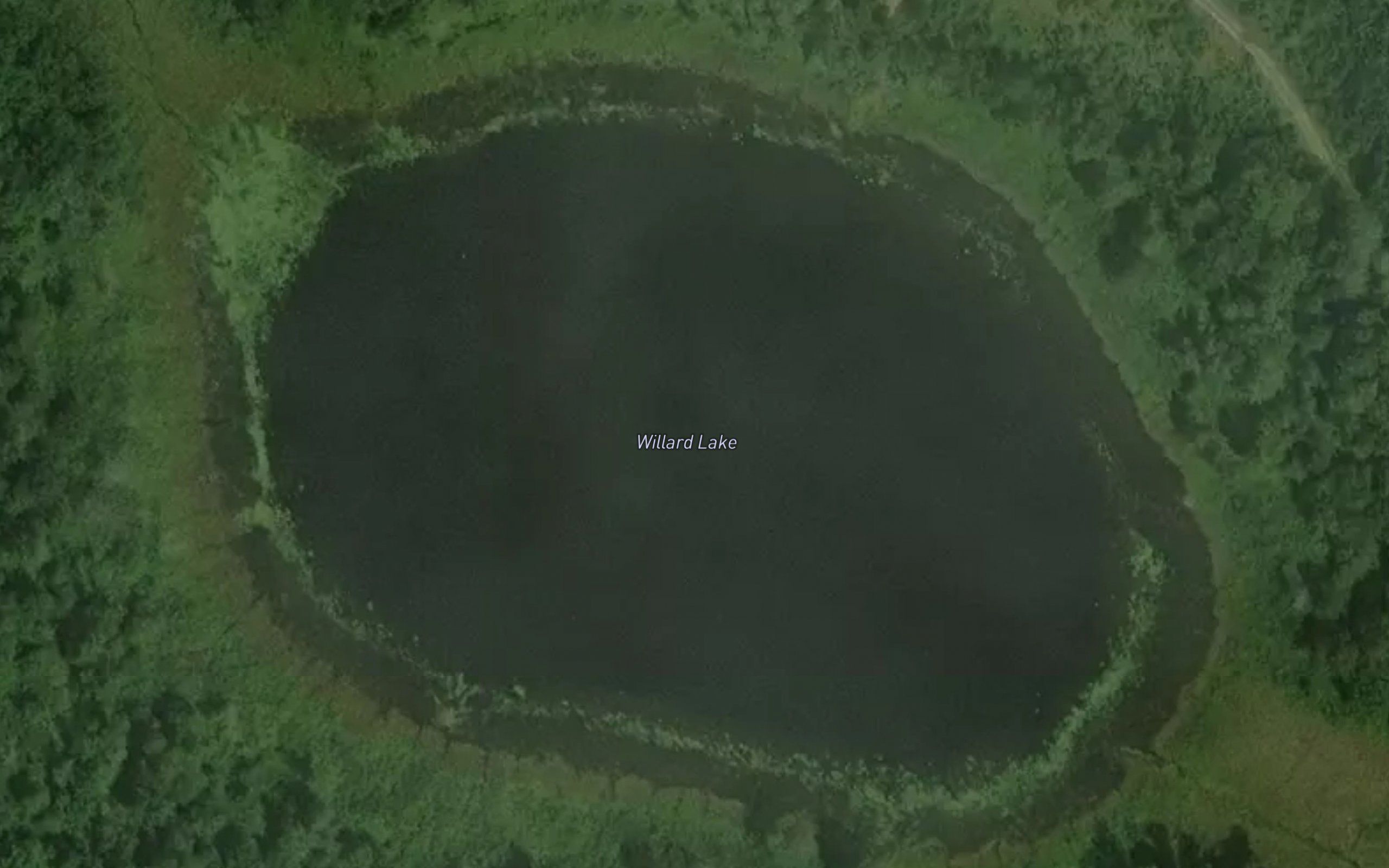 Willard Lake