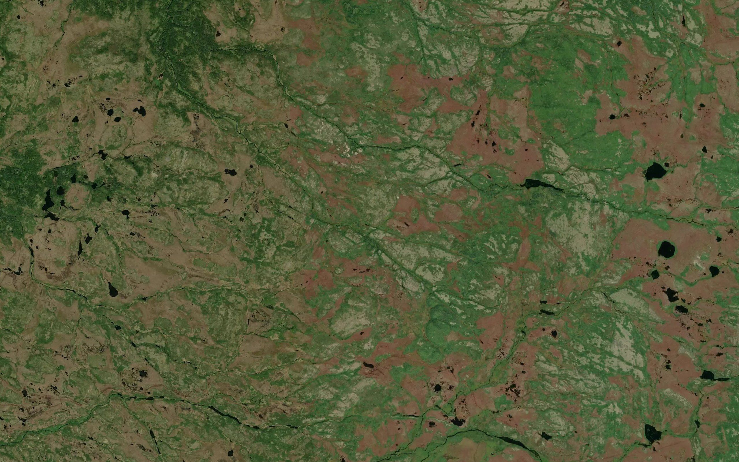 Coxs of Hay Gully