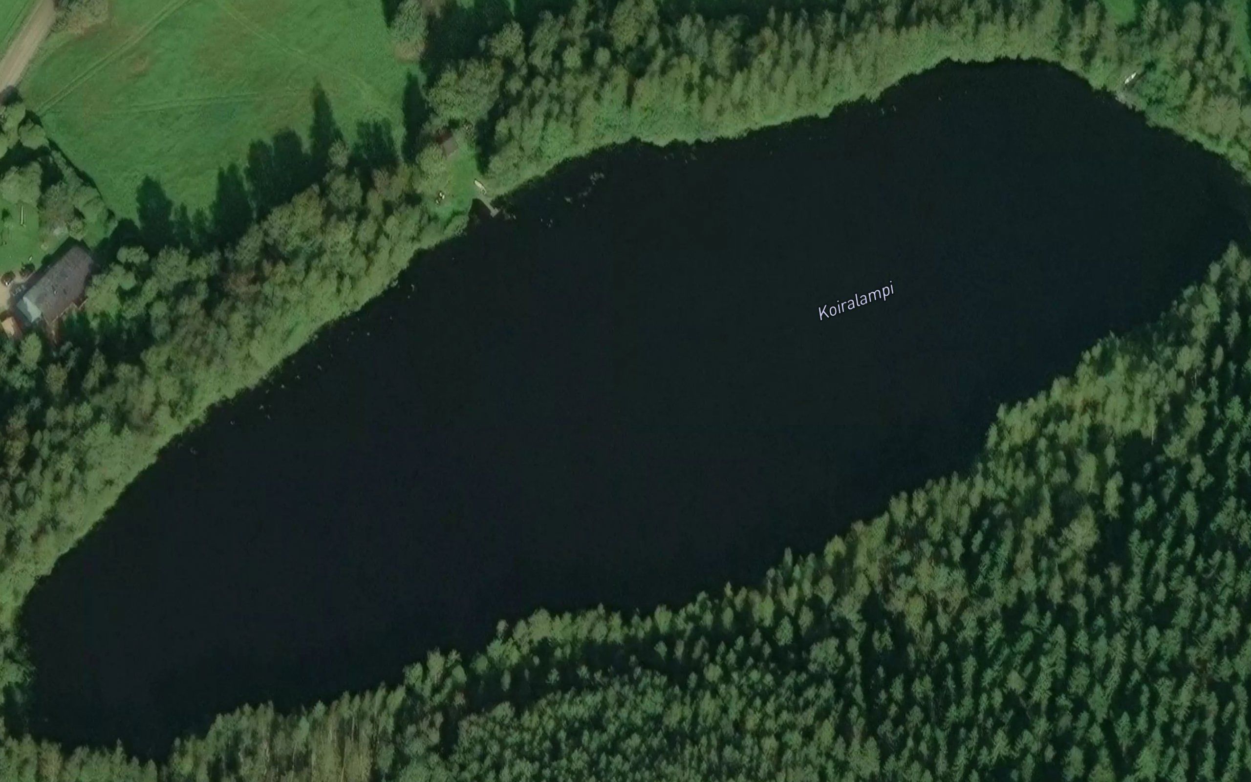 Koiralampi