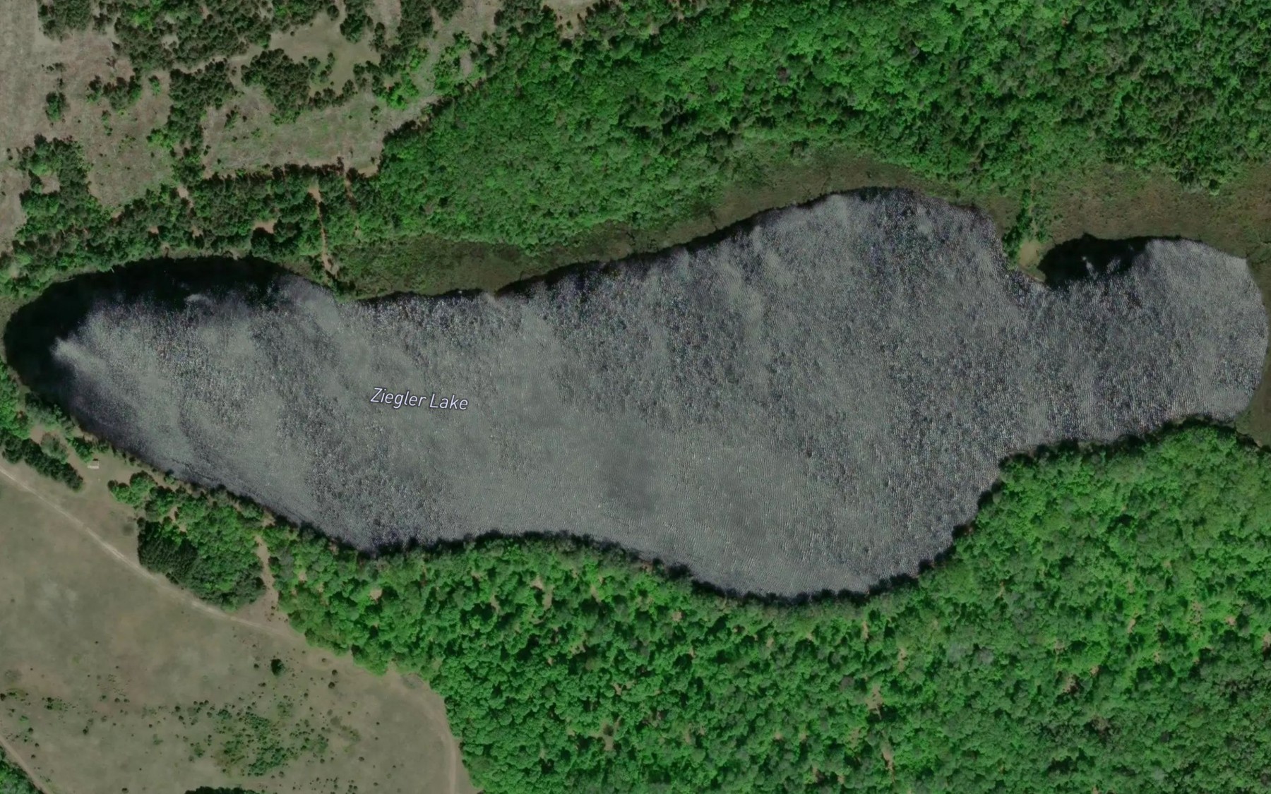 Satellite map of the Ziegler Lake