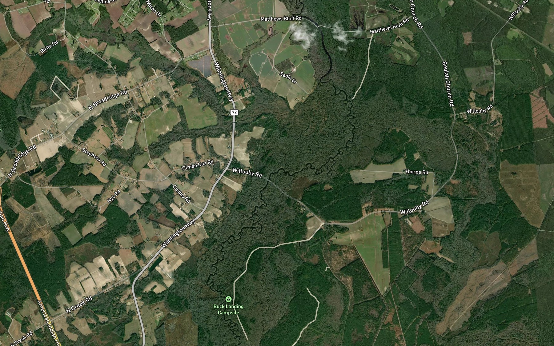 Satellite map of the Long Branch