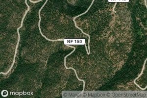 Alder Loop Spring