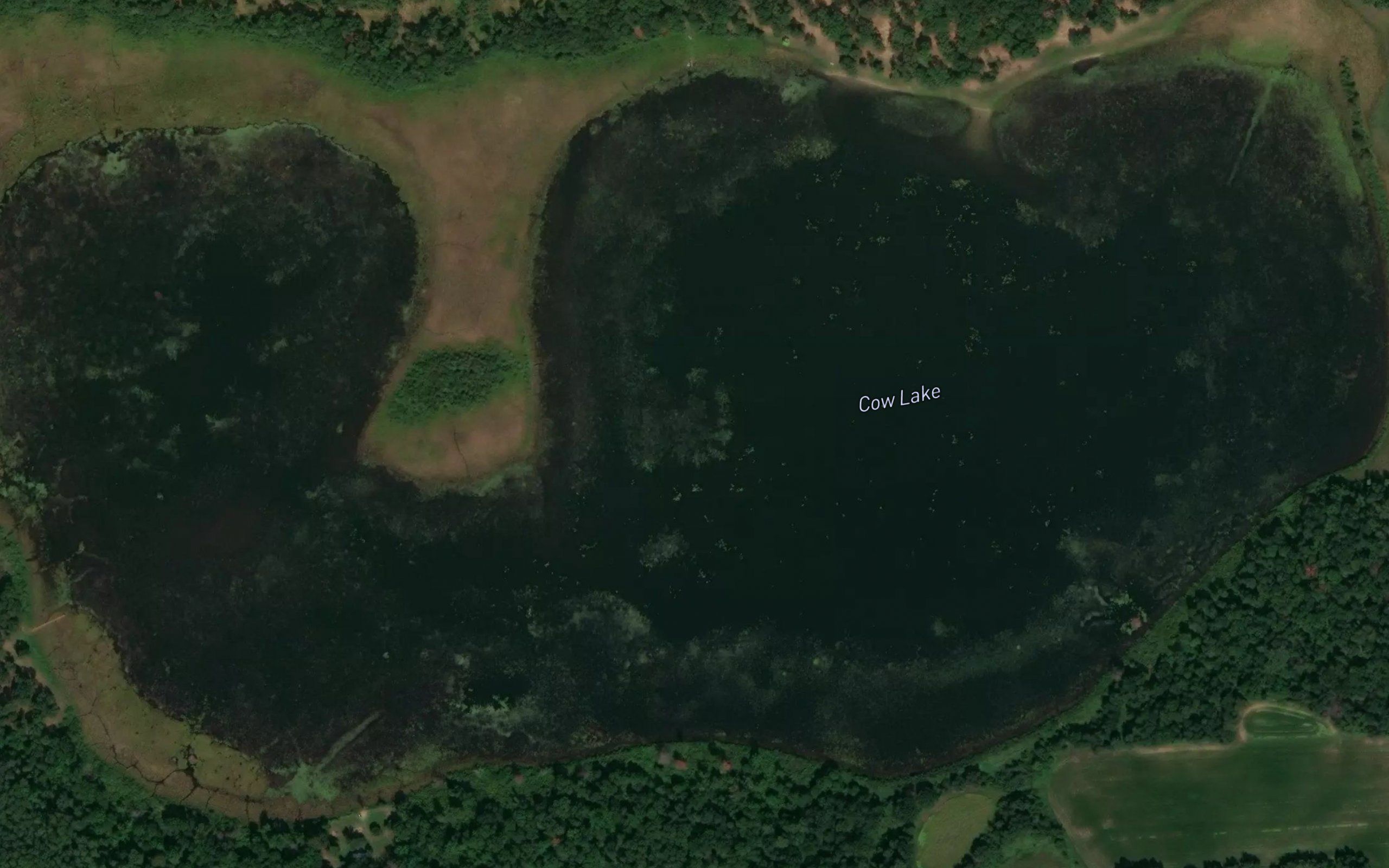 Cow Lake