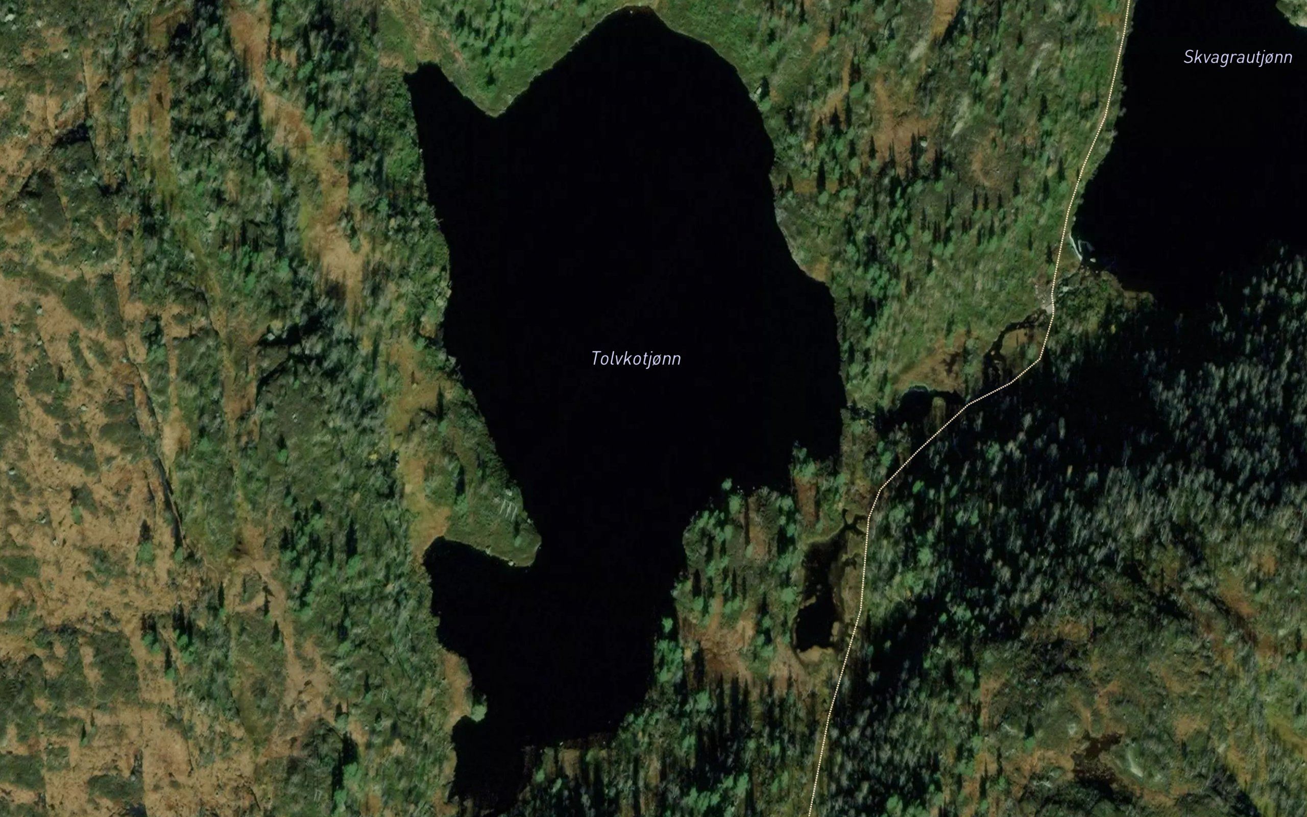 Tolvkjorktjorn