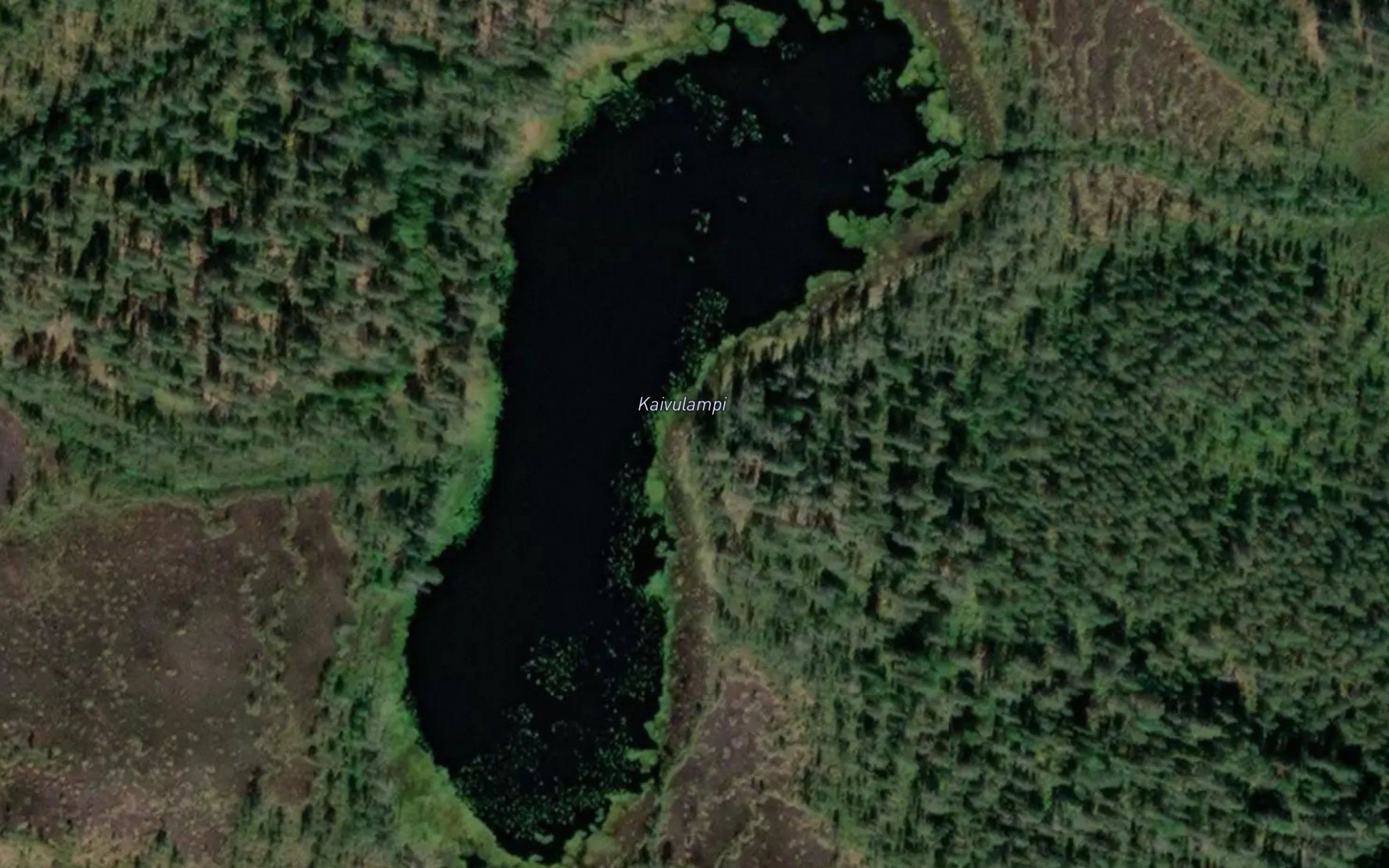 Kaivulampi