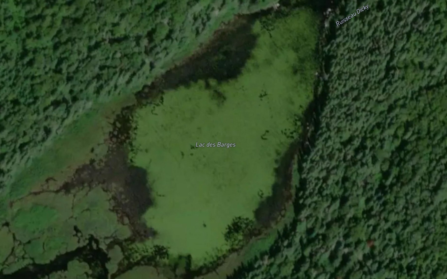 Satellite map of the Lac des Barges
