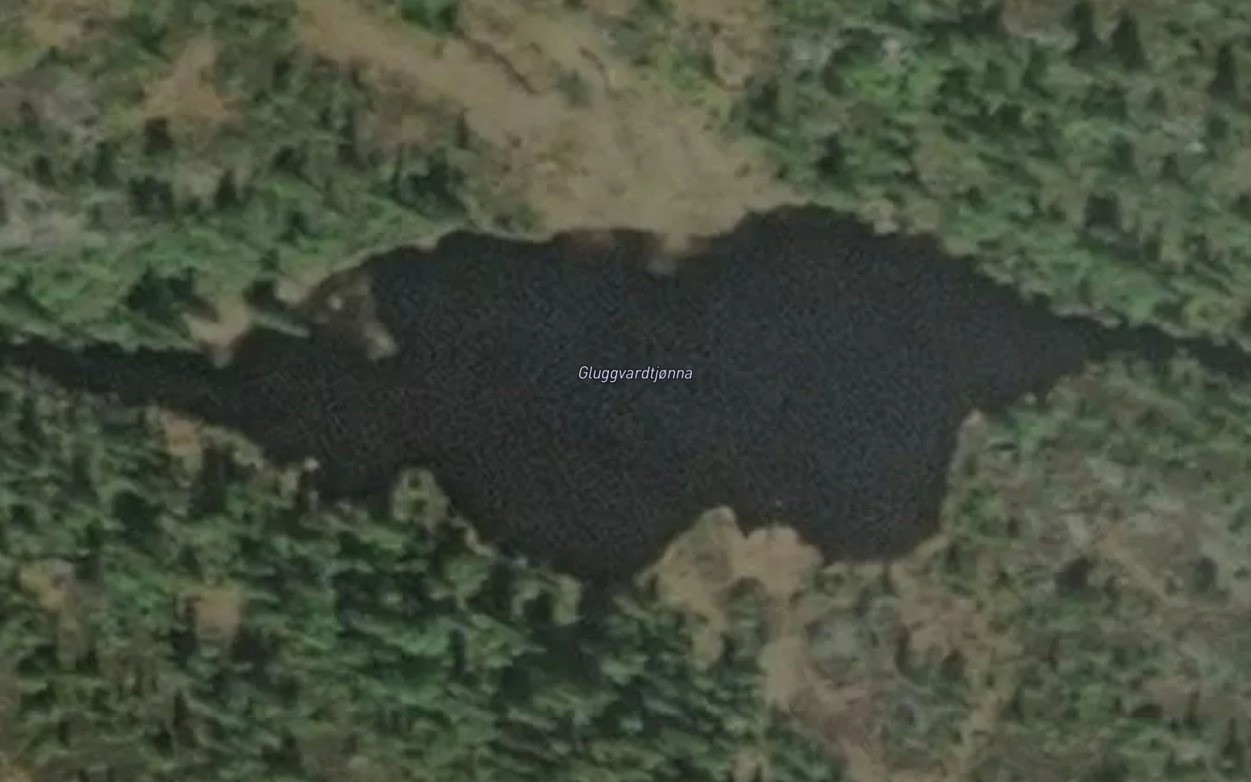 Gluggvardtjonna