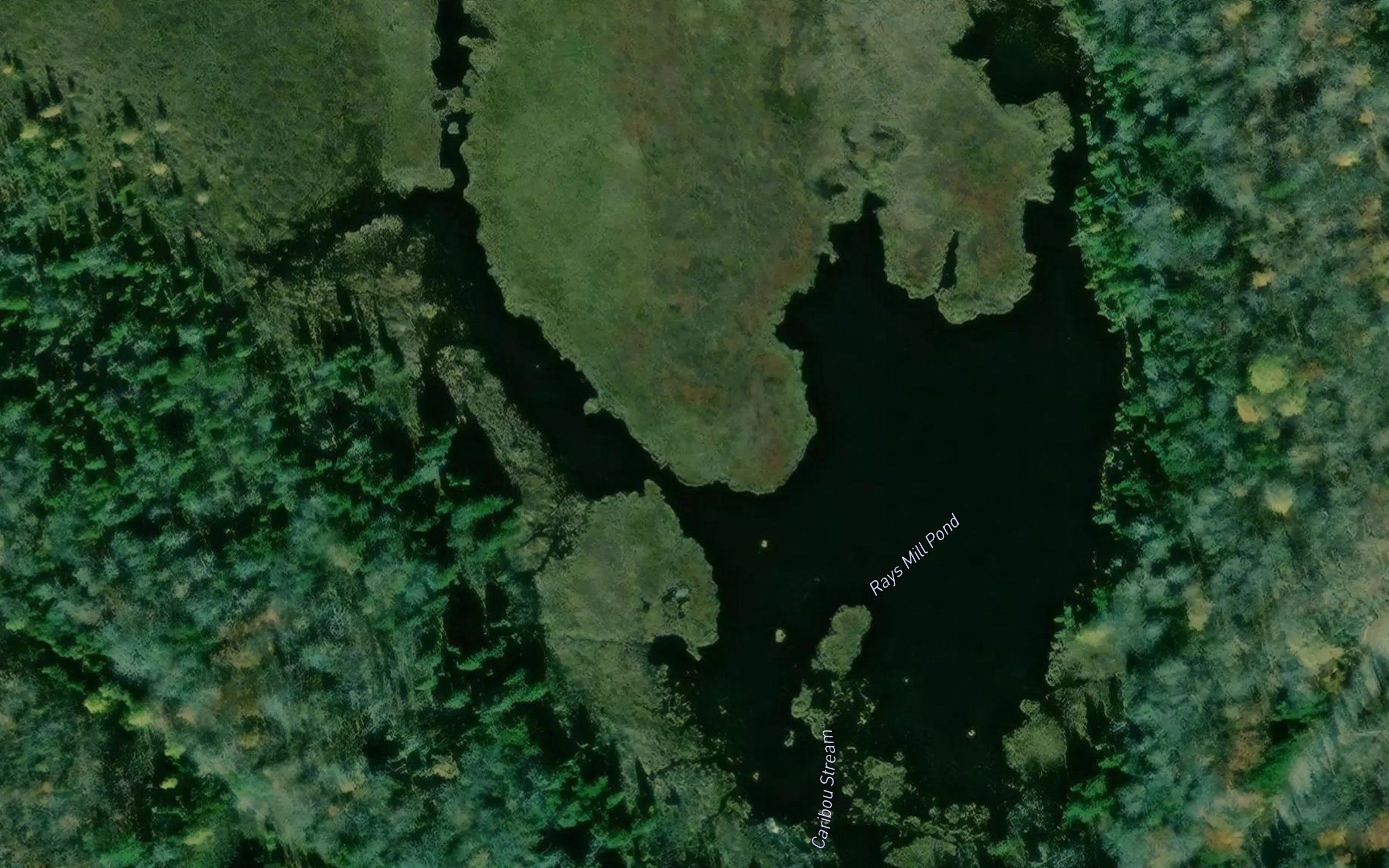 Rays Mill Pond