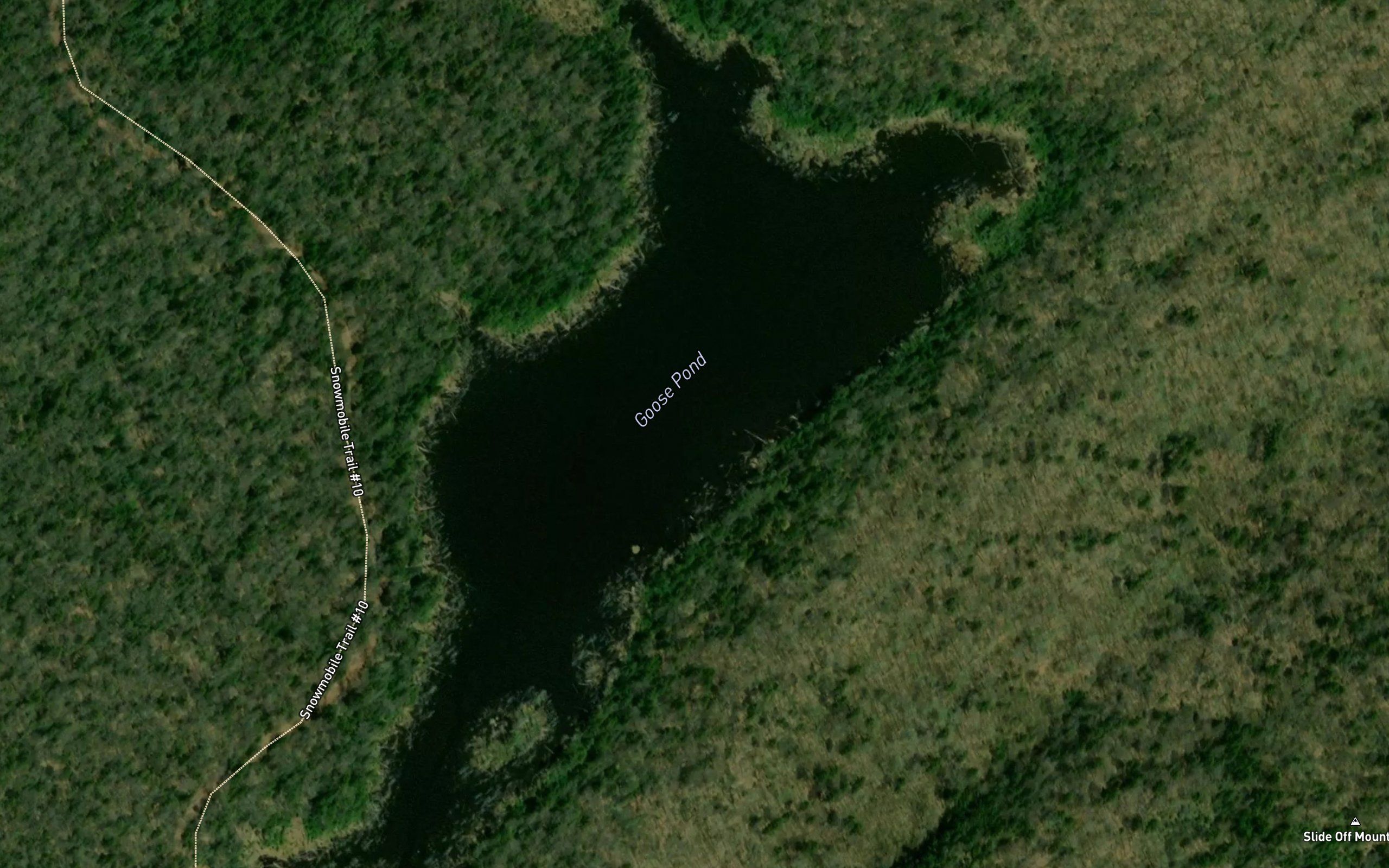 Goose Pond