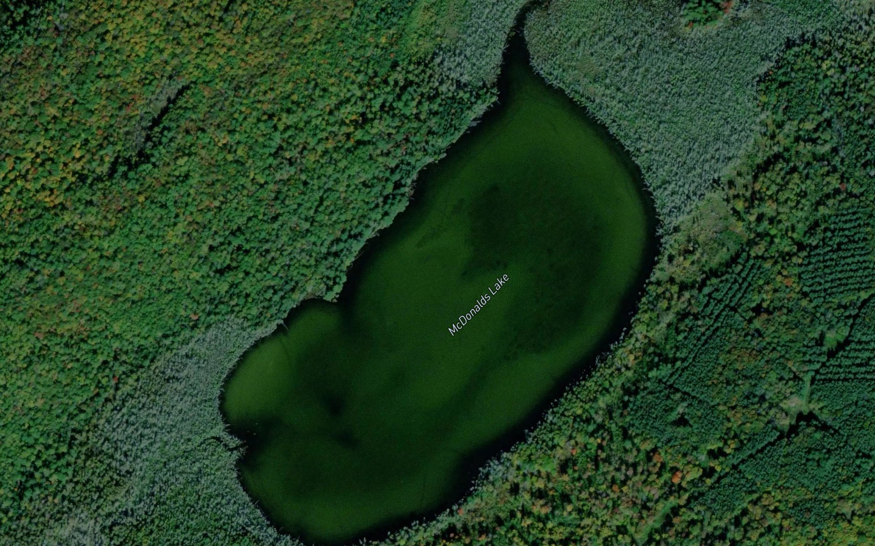 Satellite map of the McDonalds Lake