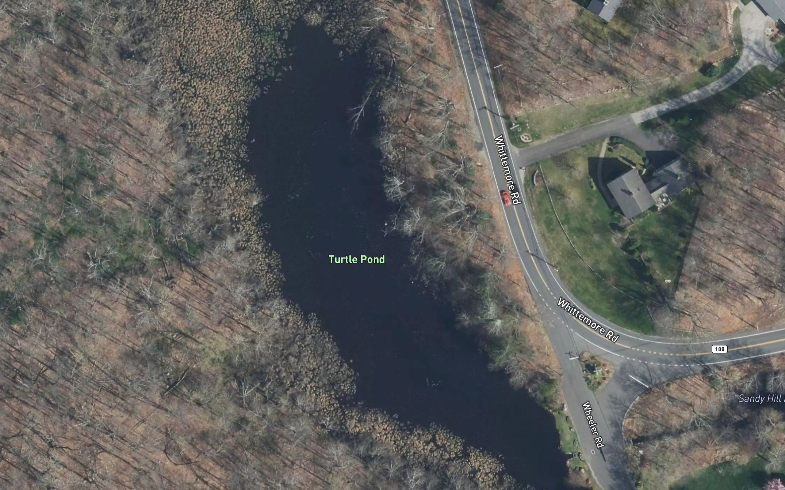 Turtle Pond