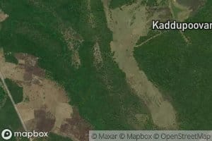 Kallatruk Kulam