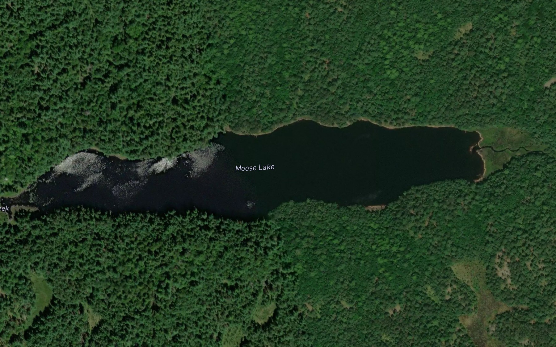 Satellite map of the Moose Lake