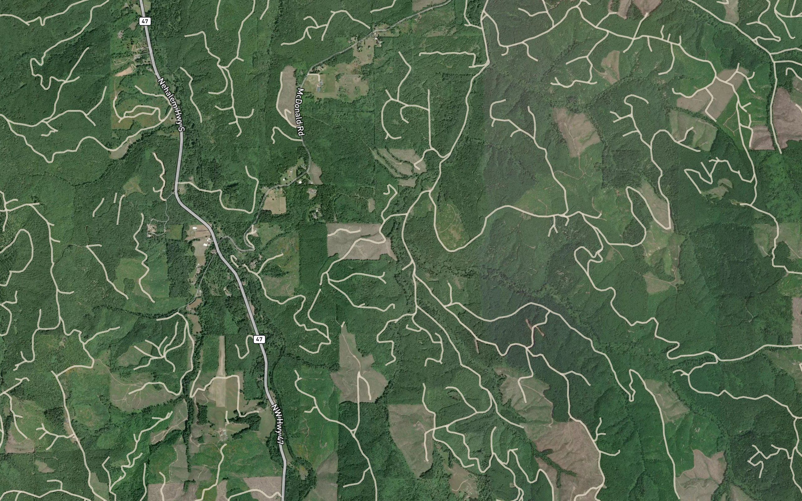 West Fork Pebble Creek