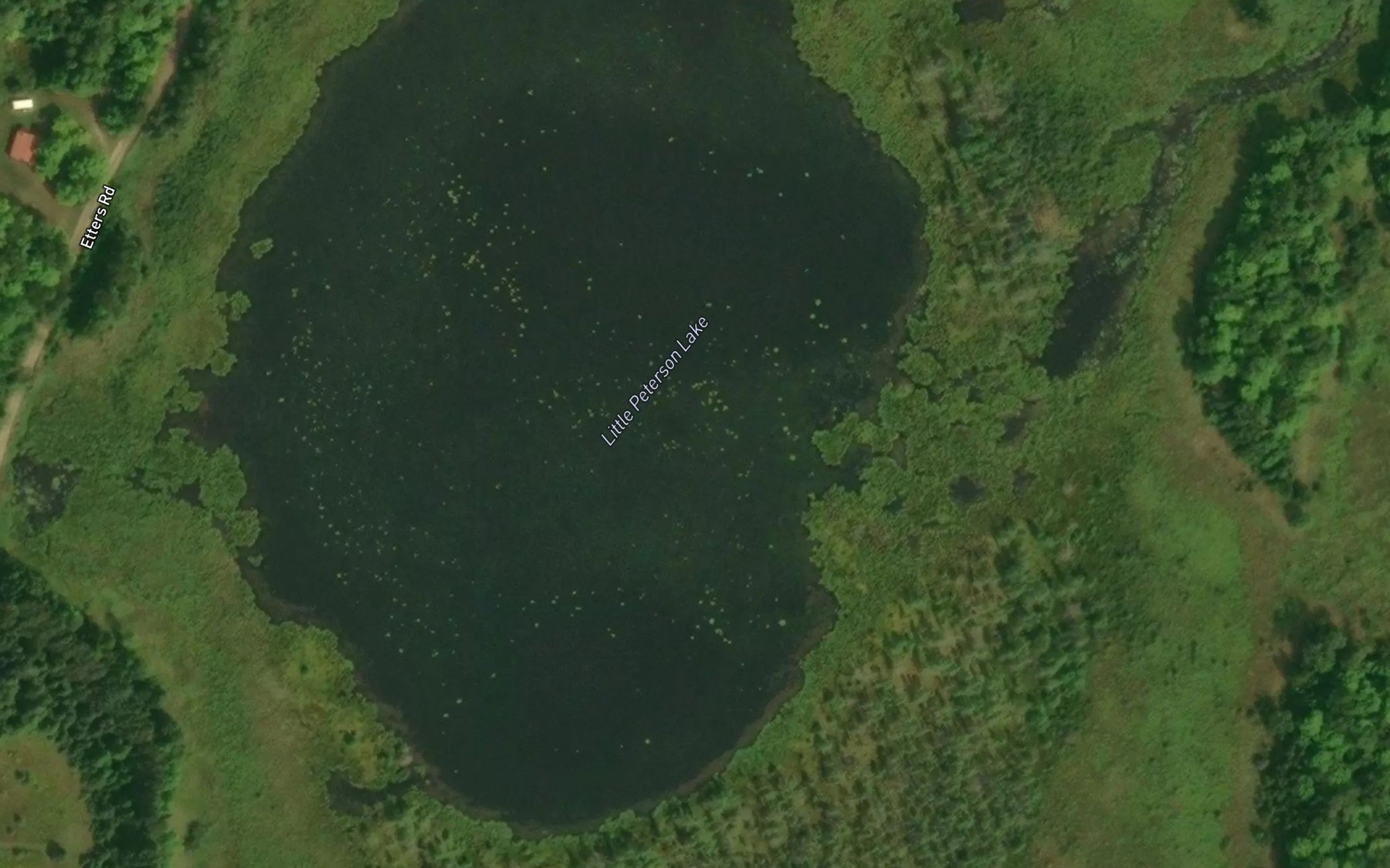 Satellite map of the Little Peterson Lake