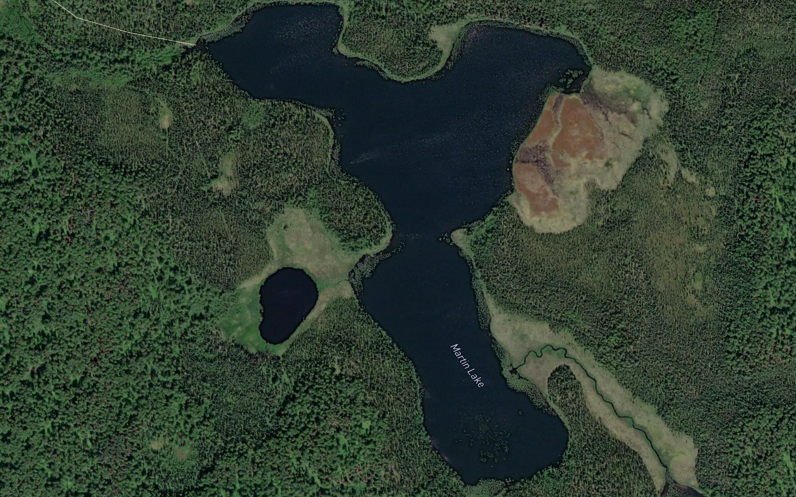 Martin Lake
