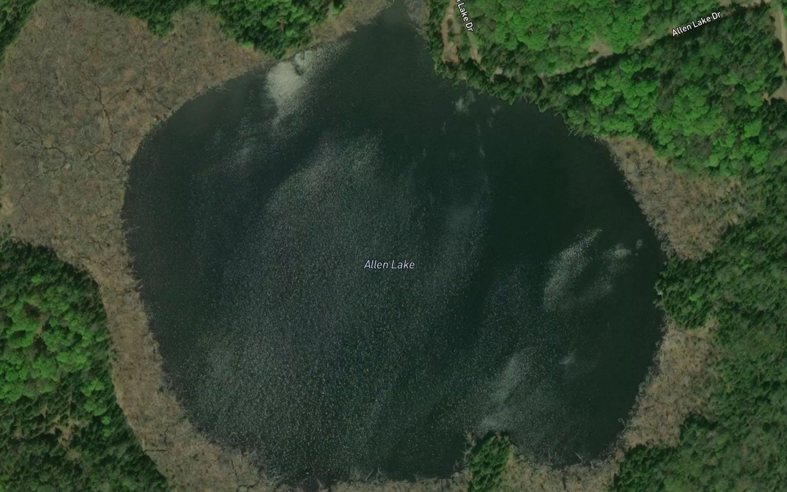 Allen Lake