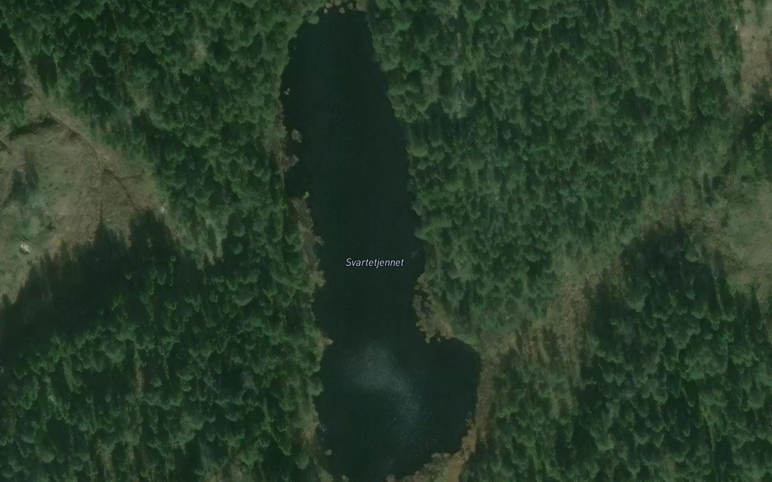 Svartetjernet