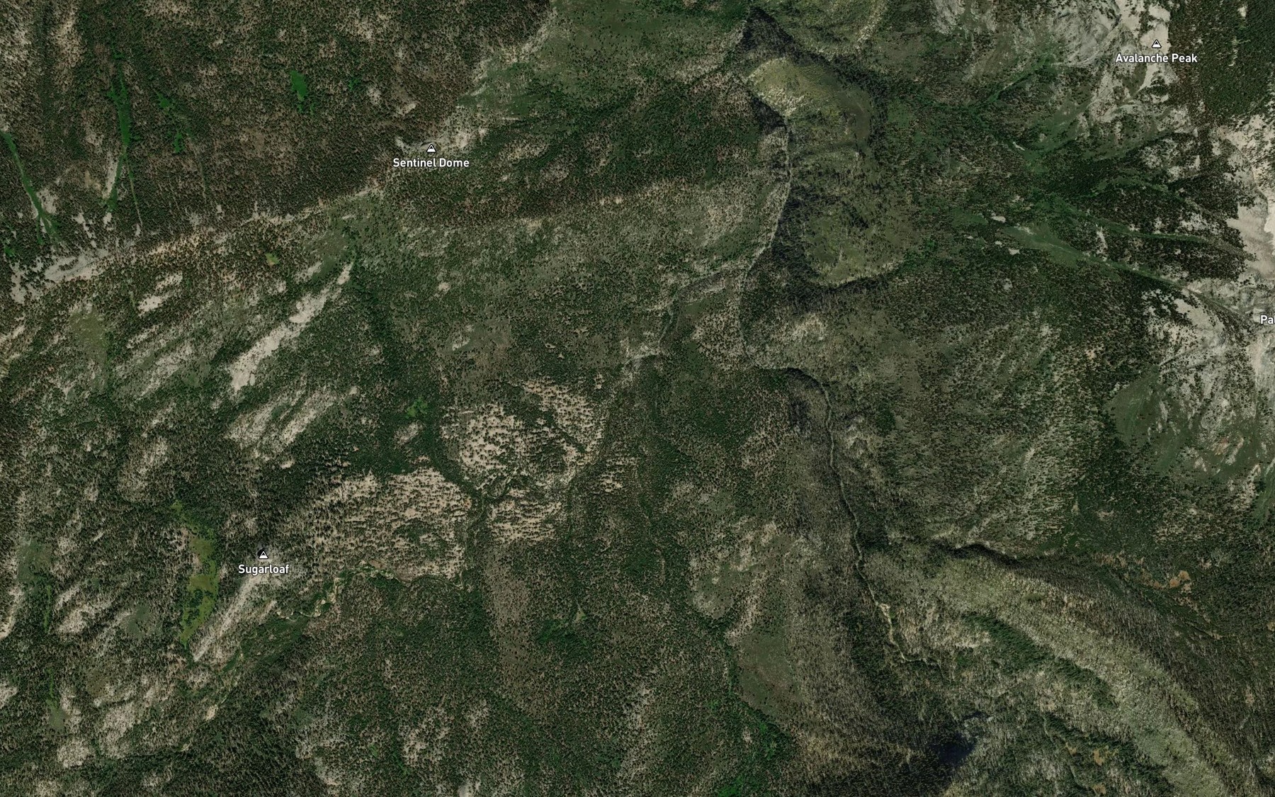 Satellite map of the Ferguson Creek