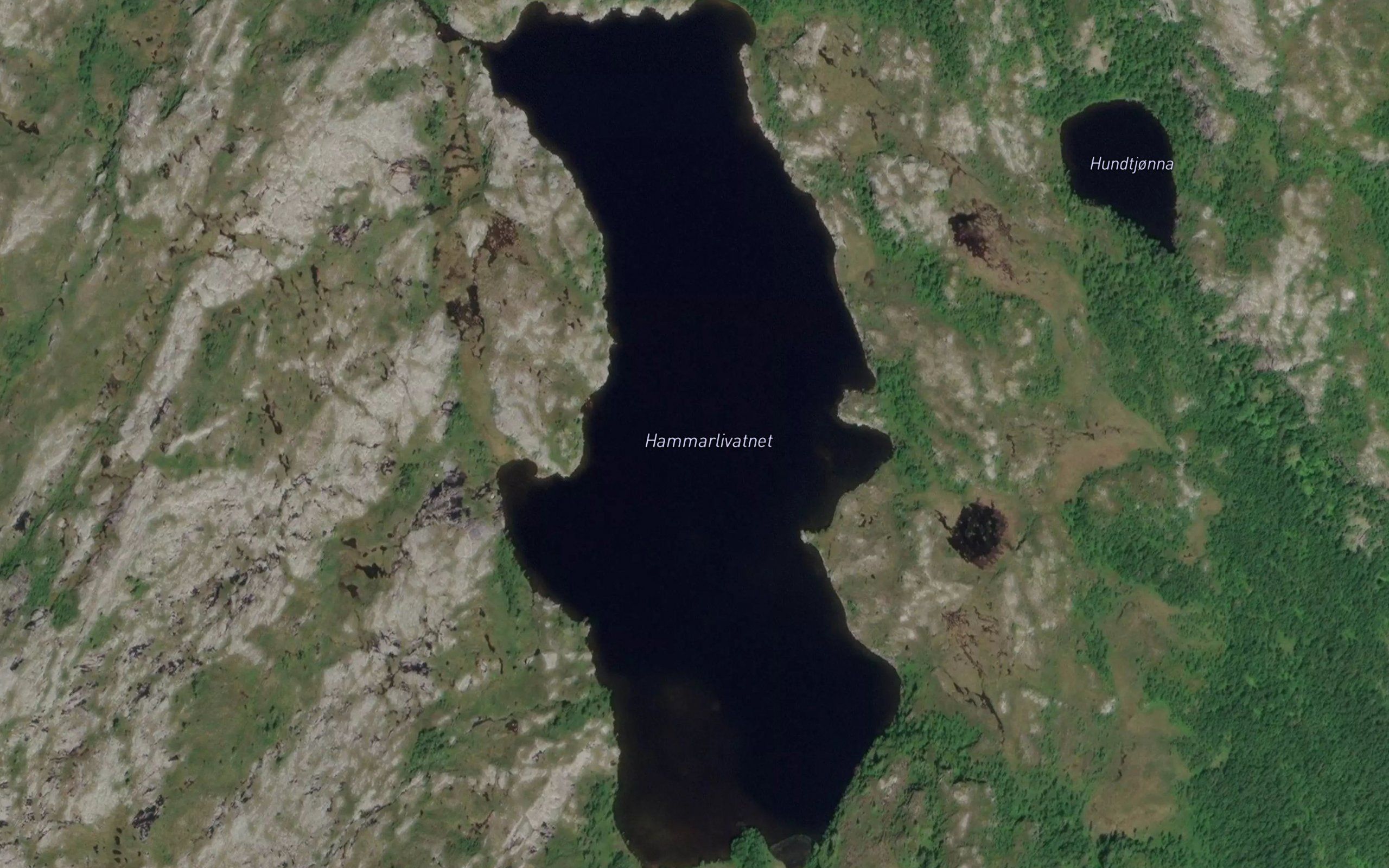 Hammarlivatnet