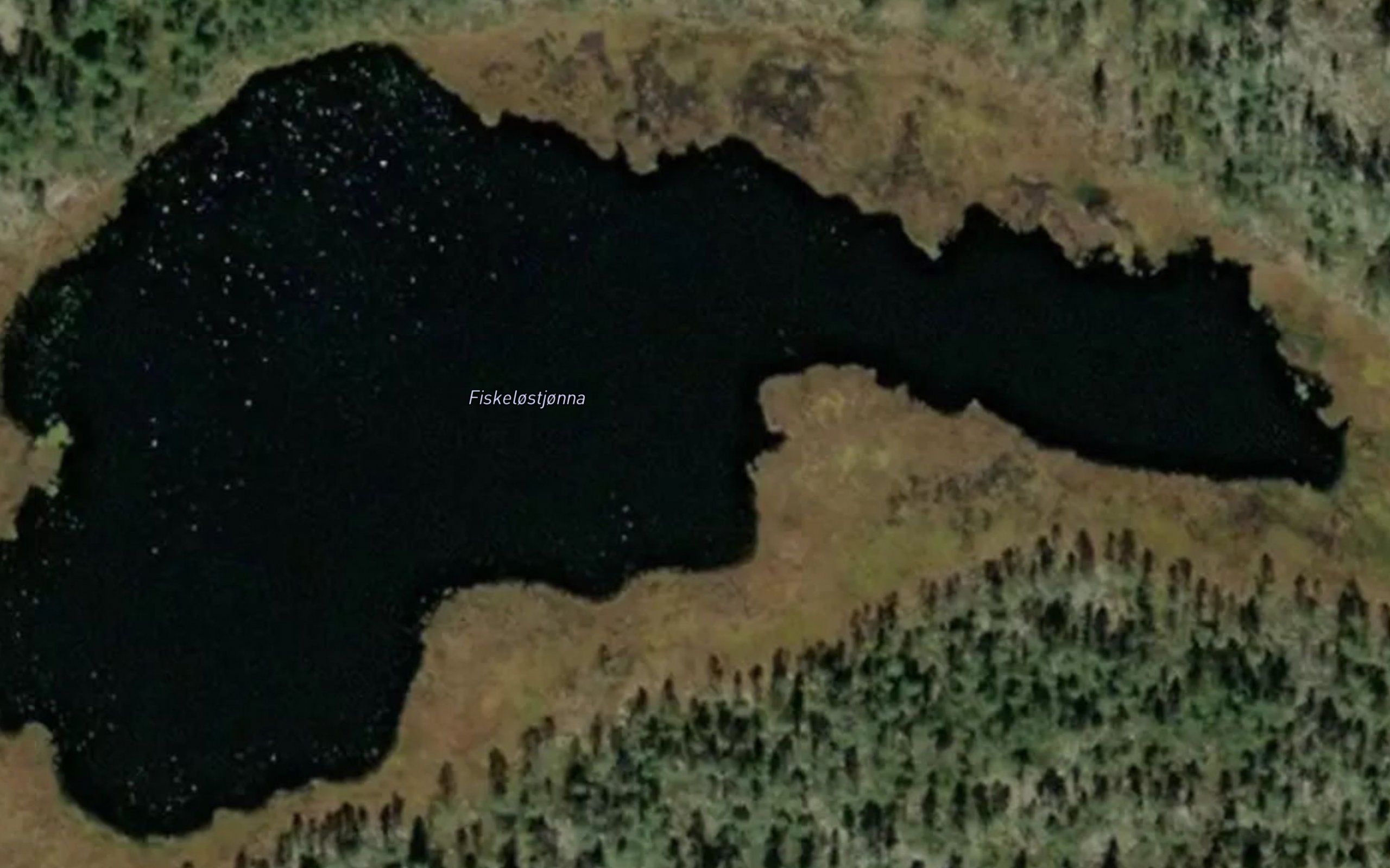 Fiskelostjorna