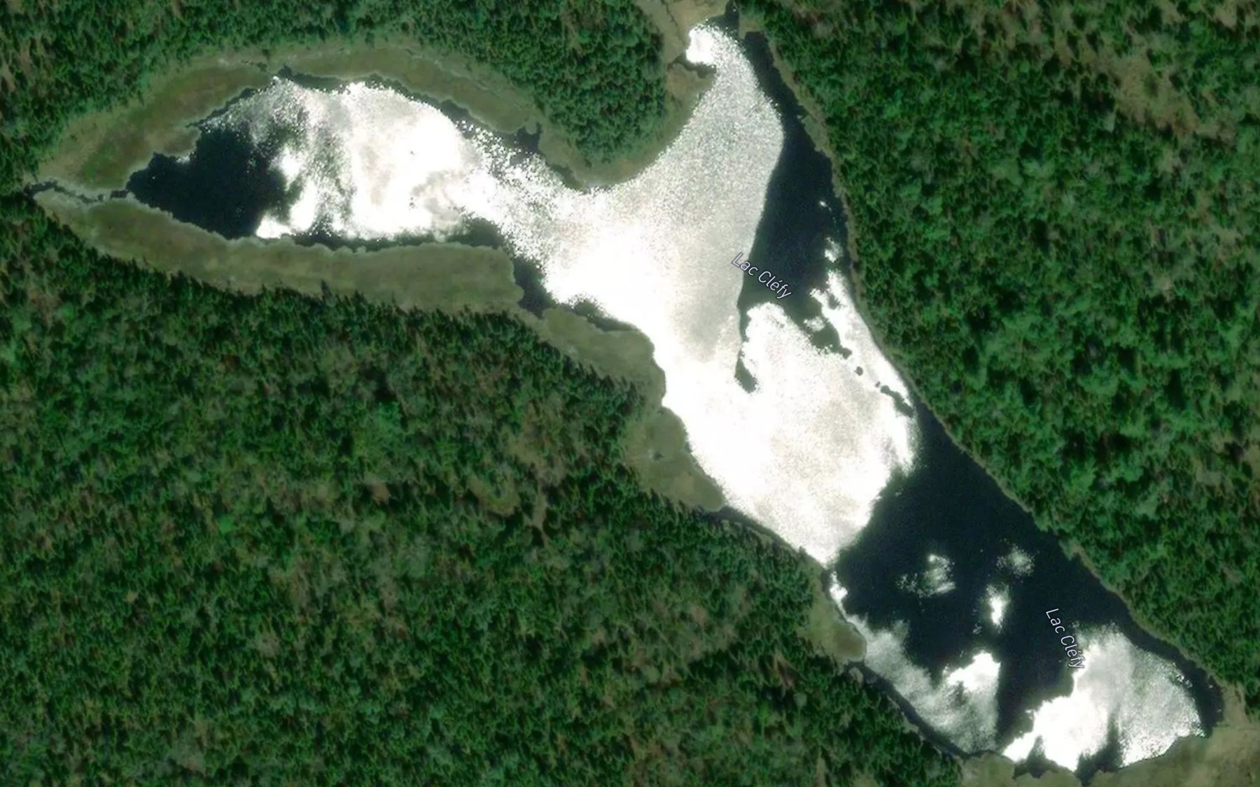 Satellite map of the Lac Clefy