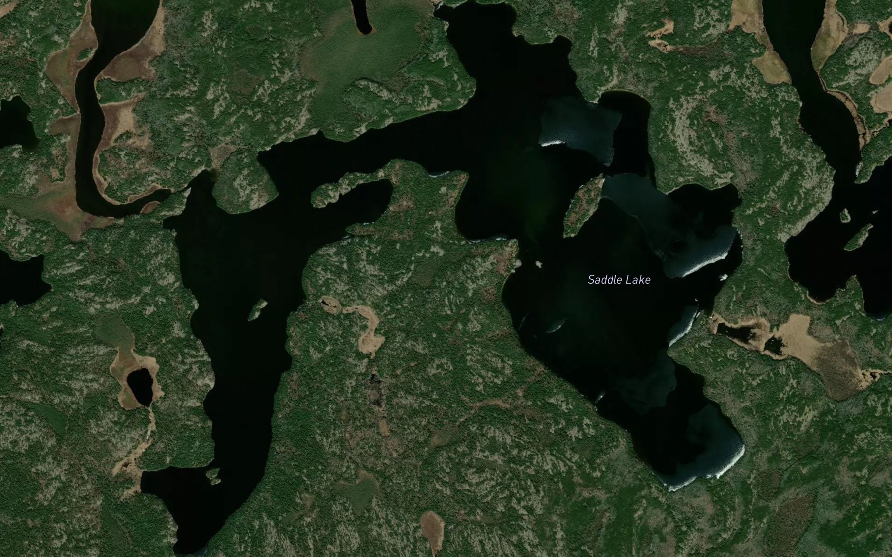 Satellite map of the Saddle Lake