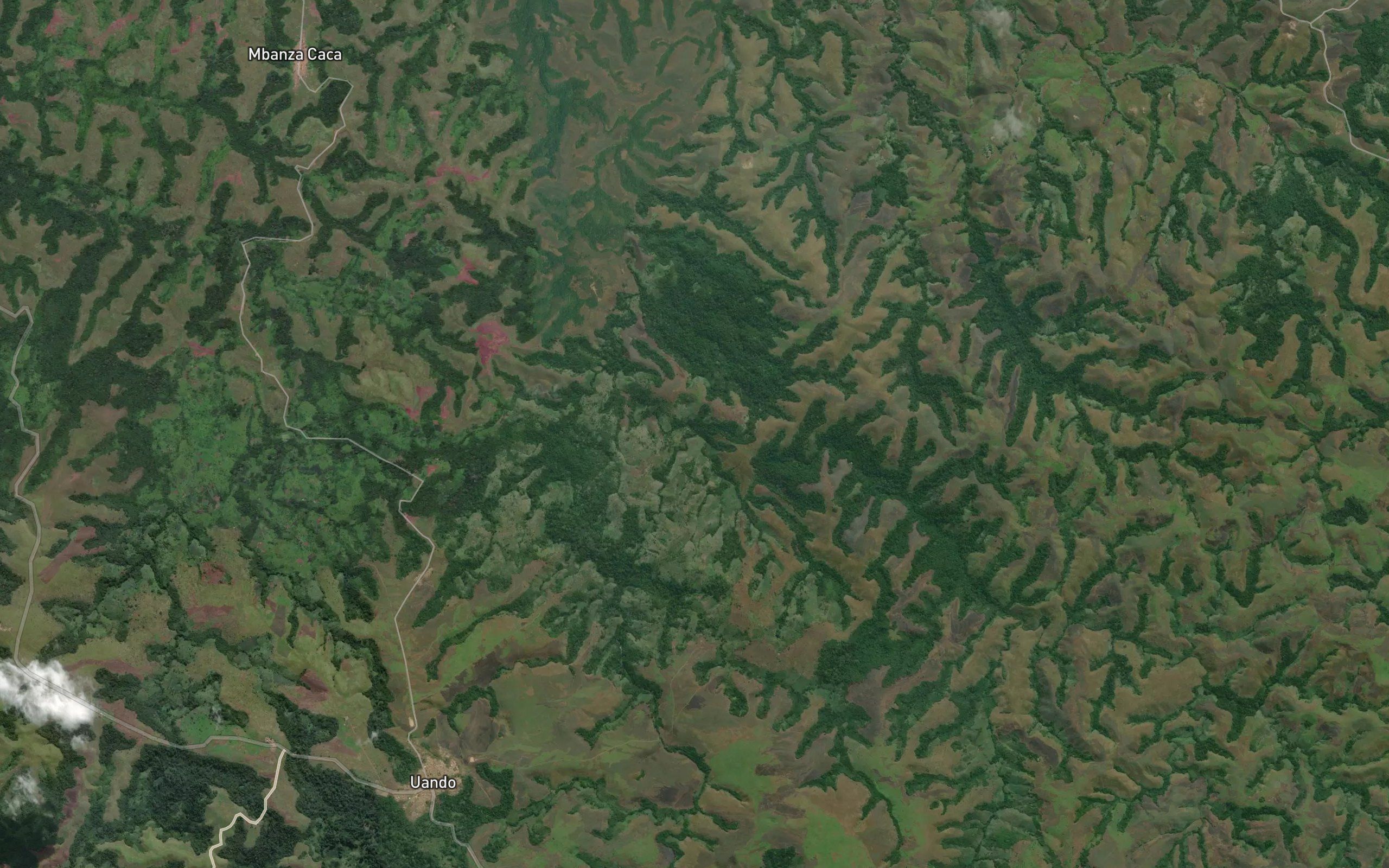 Uamba