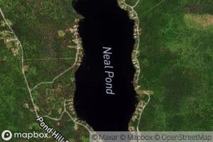 Neal Pond