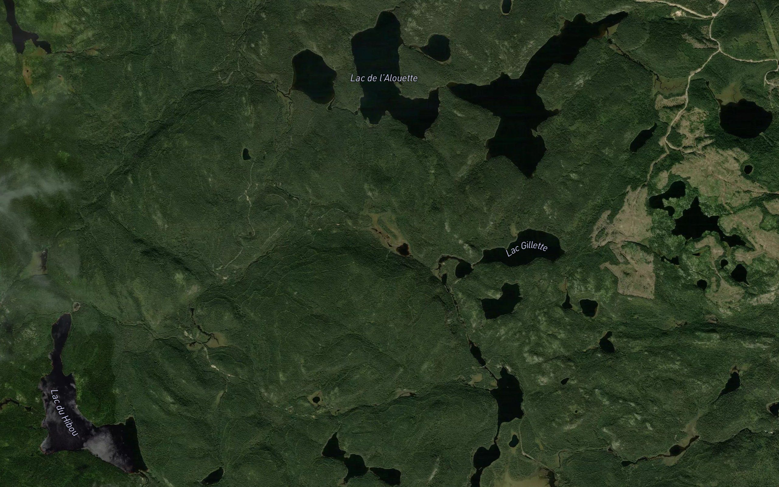 Lac Split