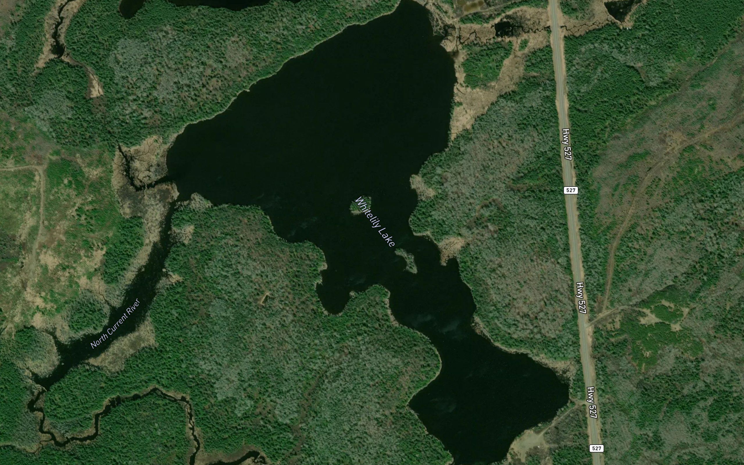Whitelily Lake